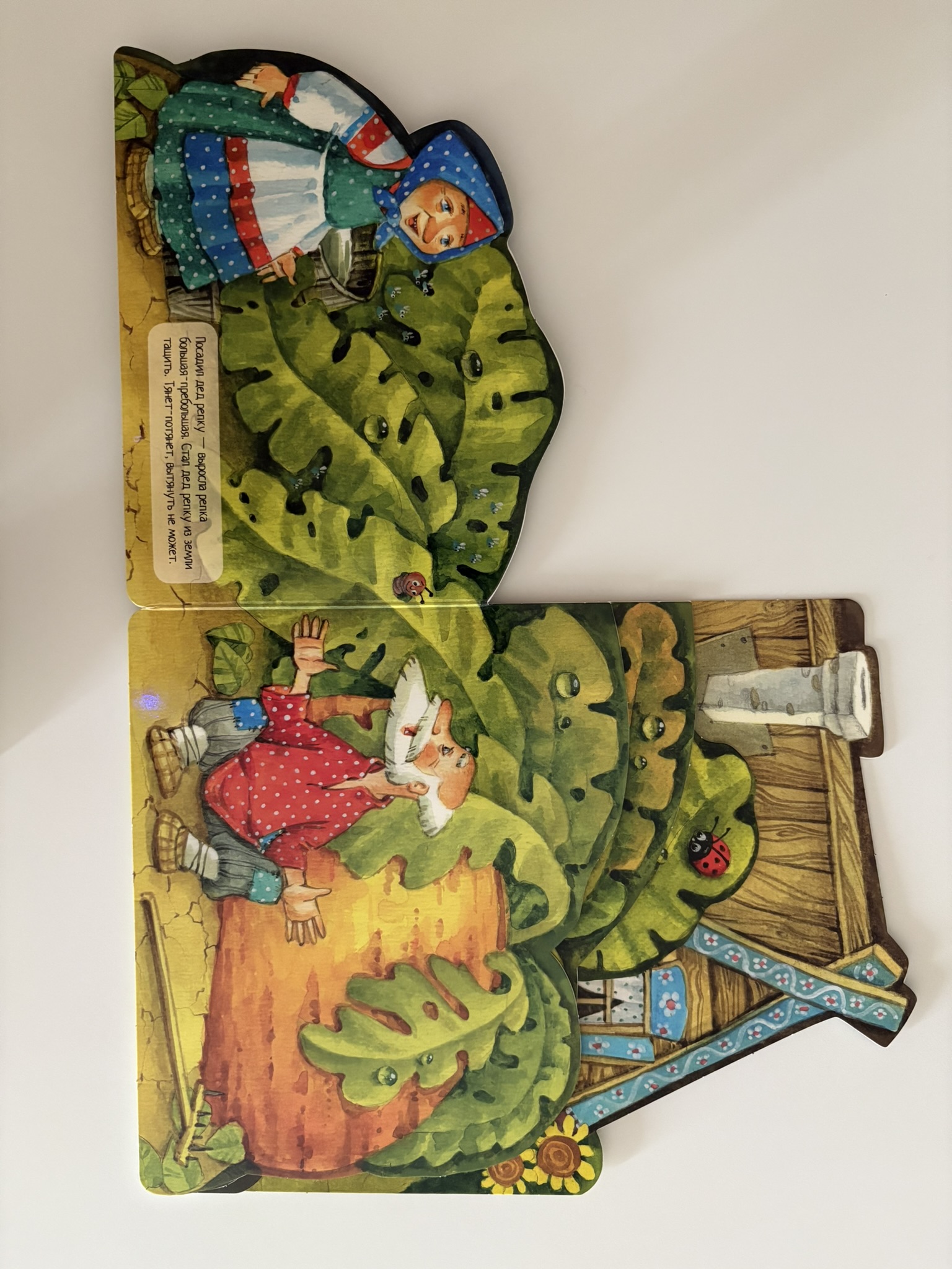 Репка. Рис. И. Якимовой