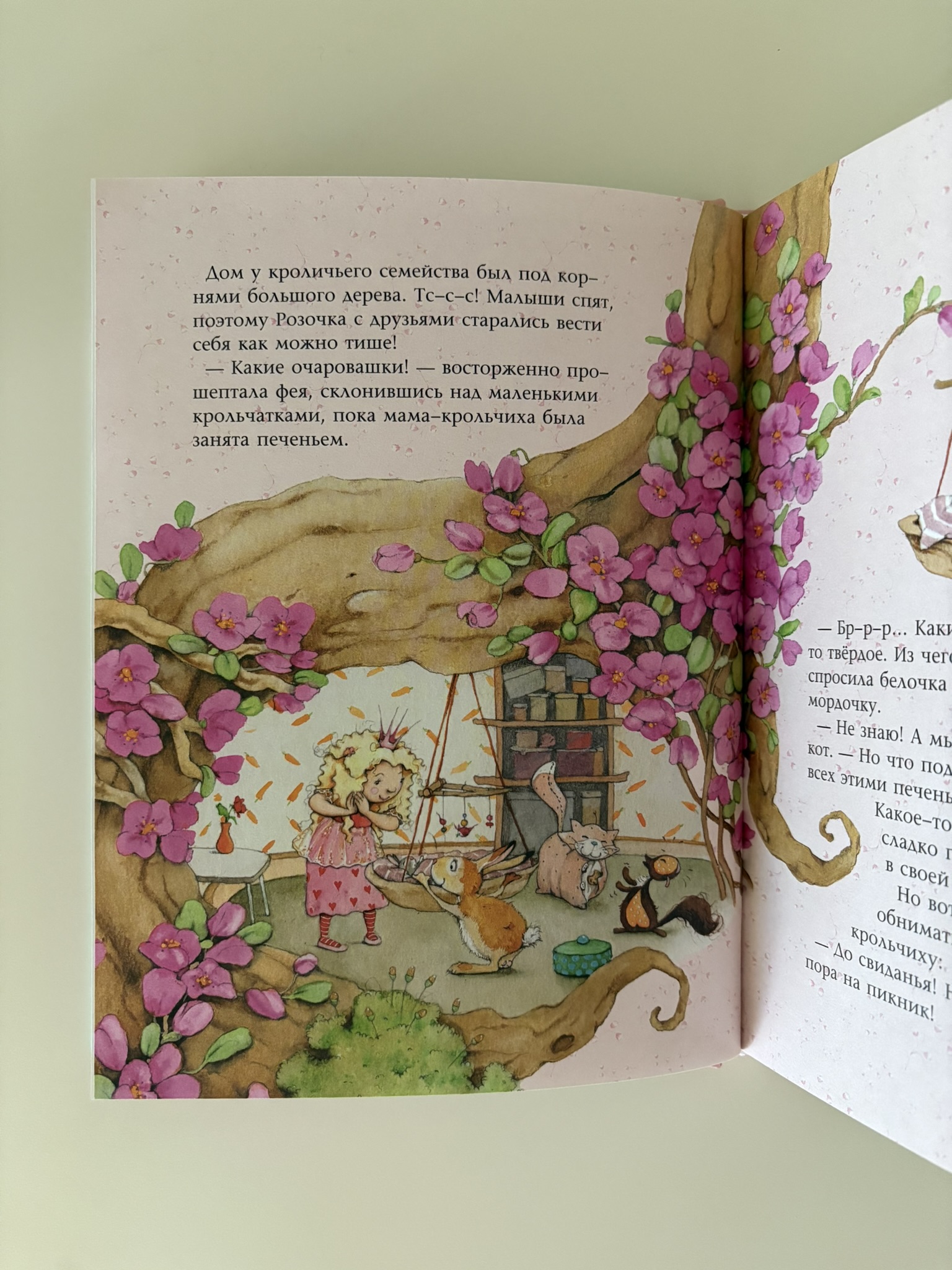 Фея Розочка. Большая книга волшебства