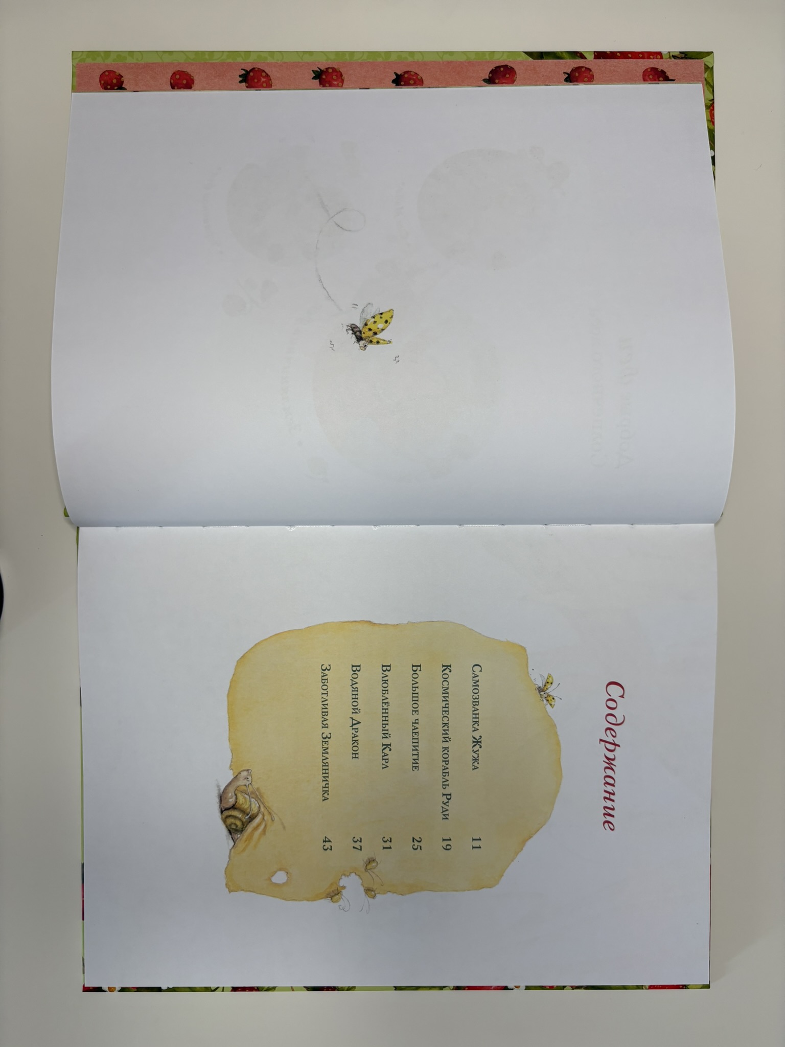 Земляничная фея. Волшебная книга каникул