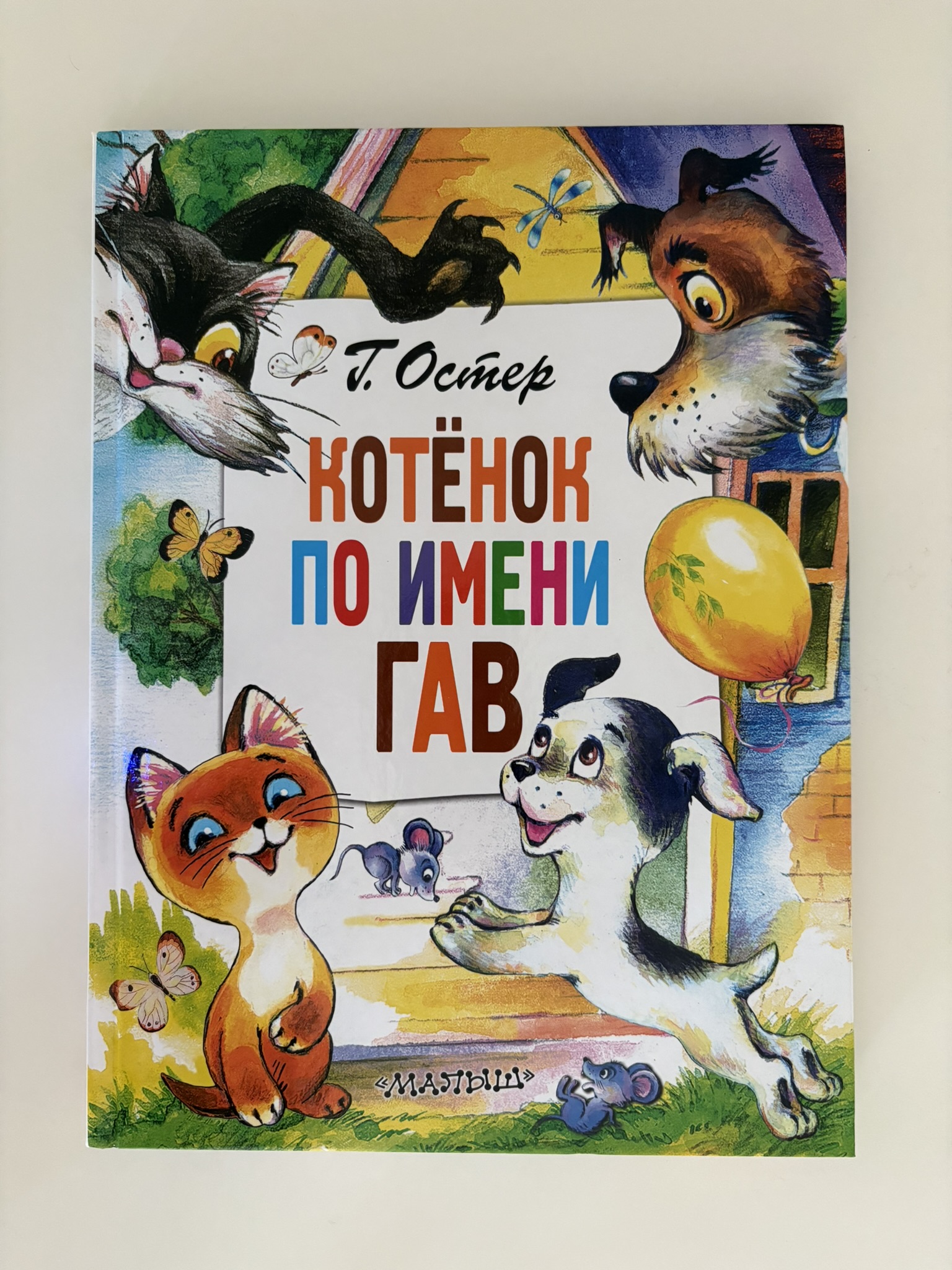 Котёнок по имени Гав