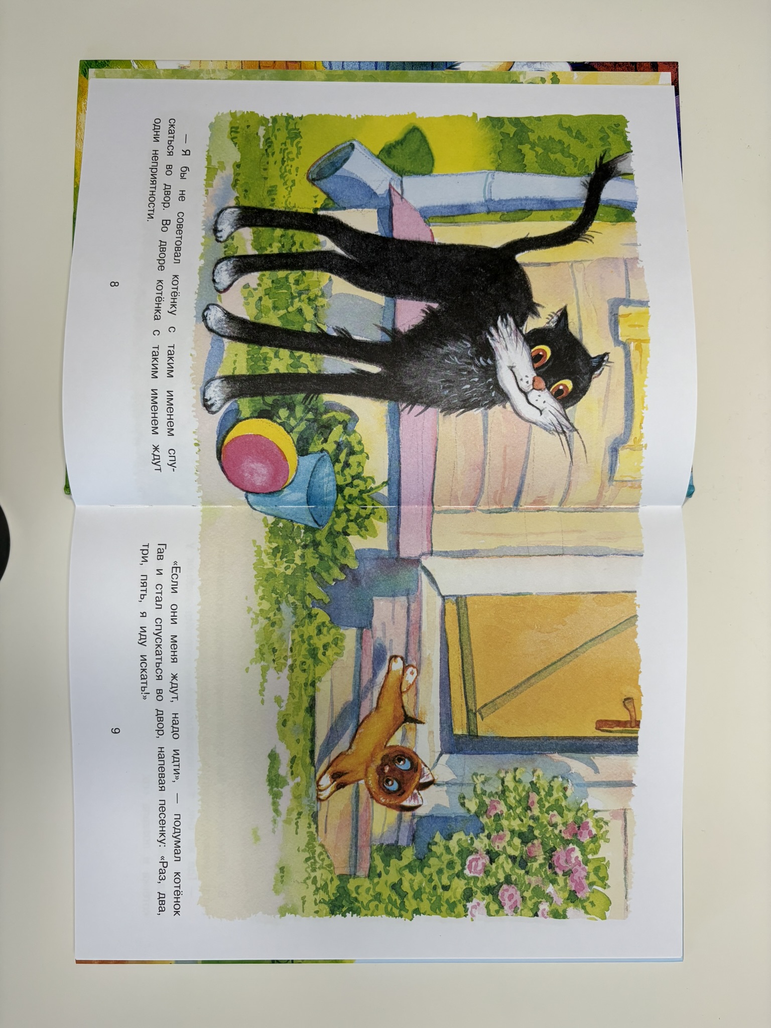 Котёнок по имени Гав
