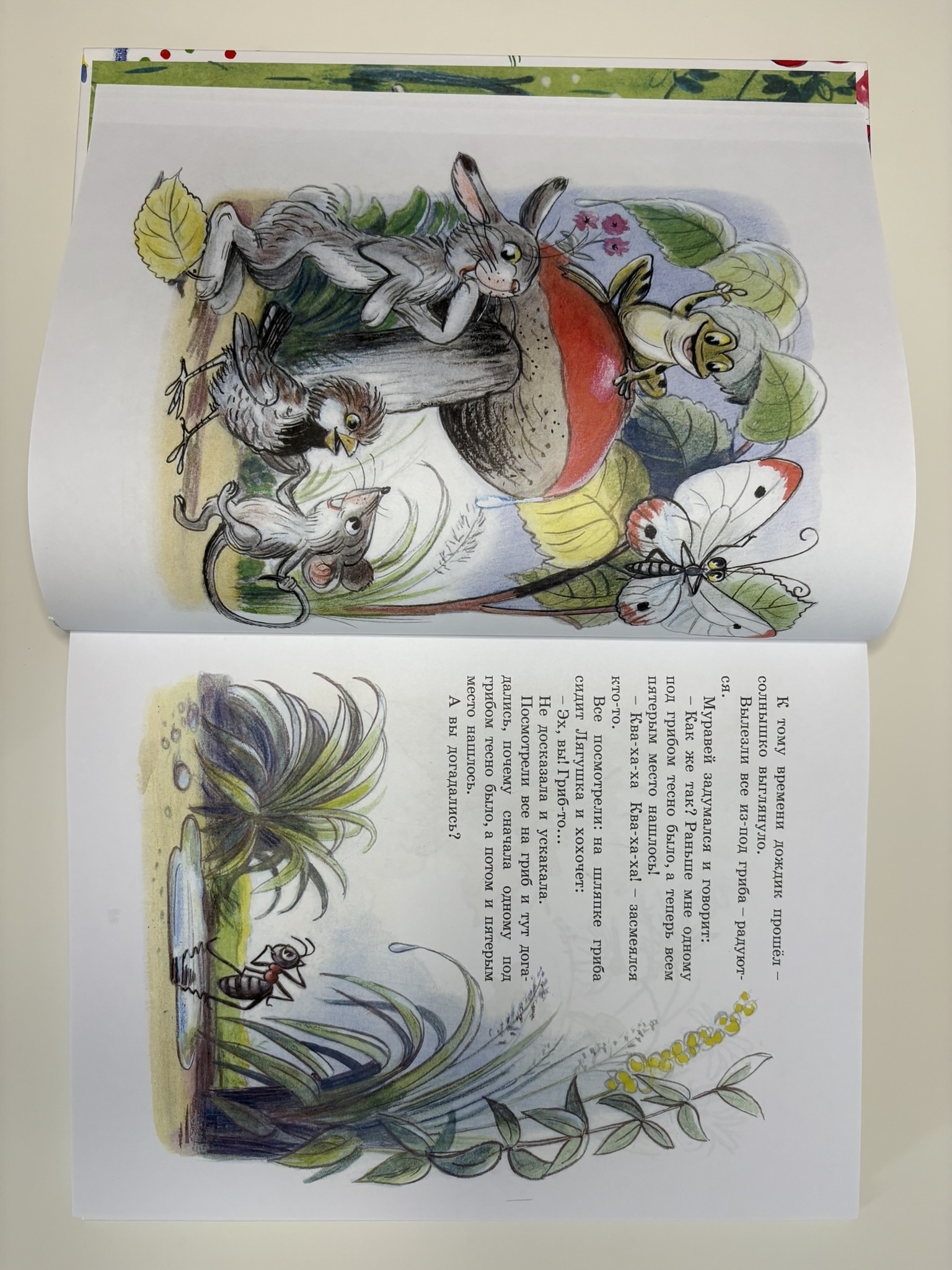 Книга сказок В.Сутеева.