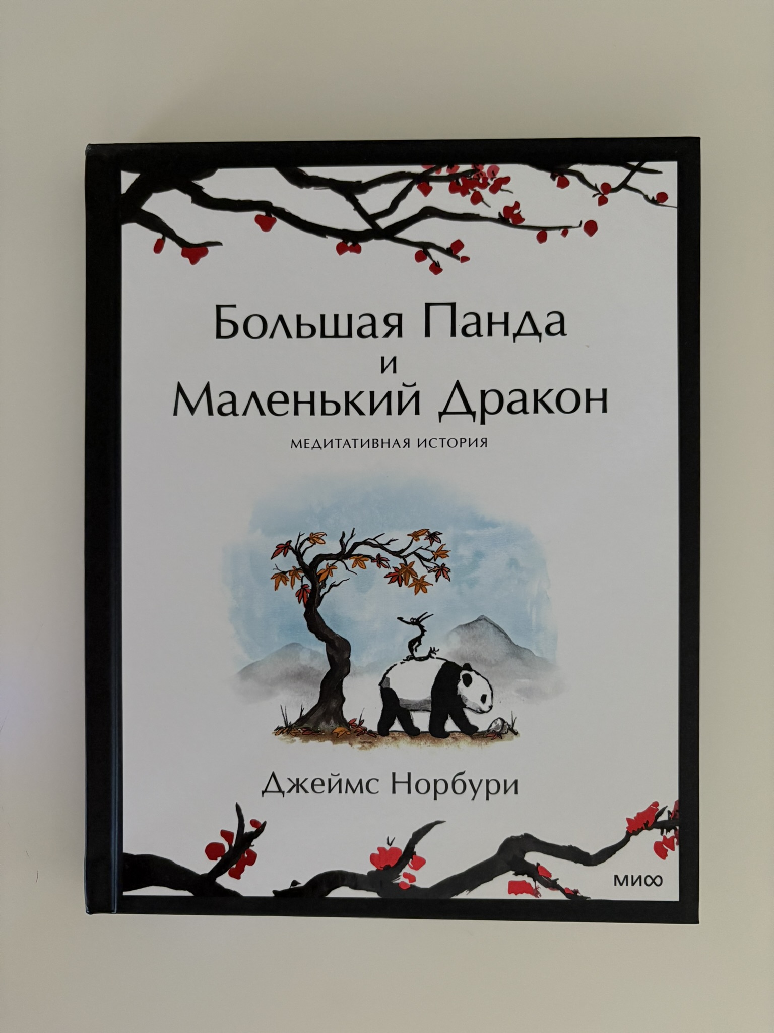 Большая Панда и Маленький Дракон: медитативная история