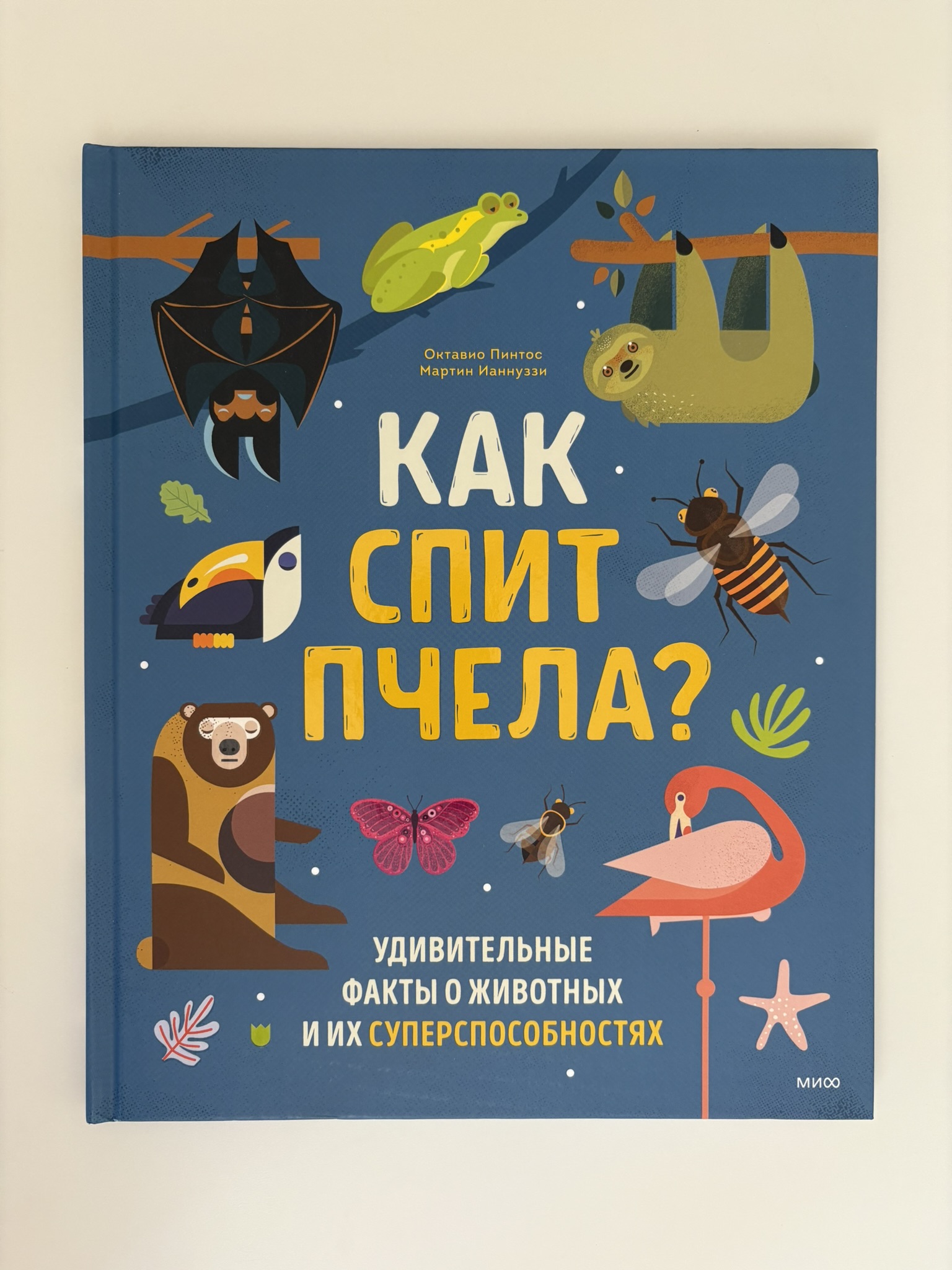 Как спит пчела? Удивительные факты о животных и их суперспособностях