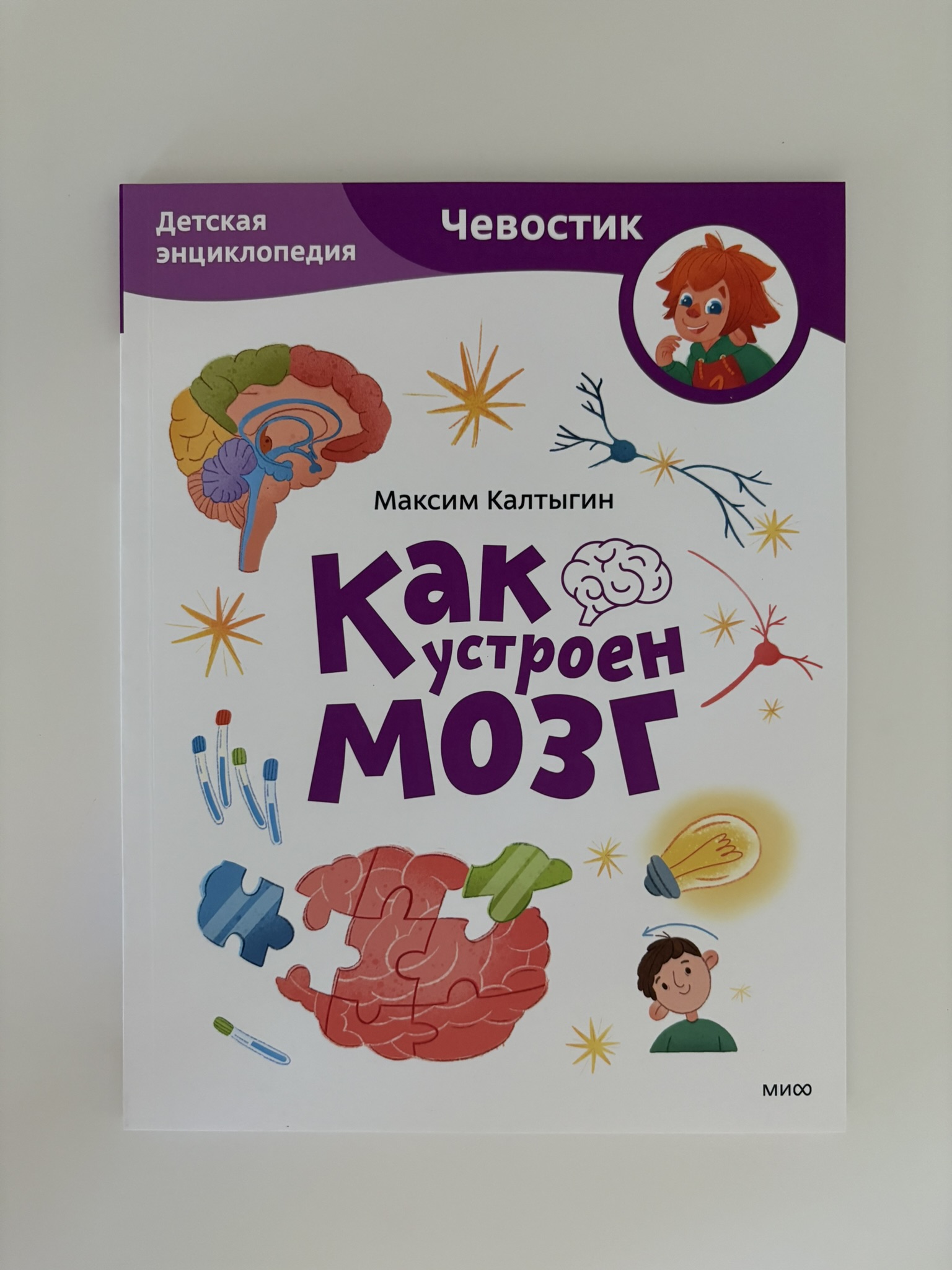Как устроен мозг. Детская энциклопедия (Чевостик)