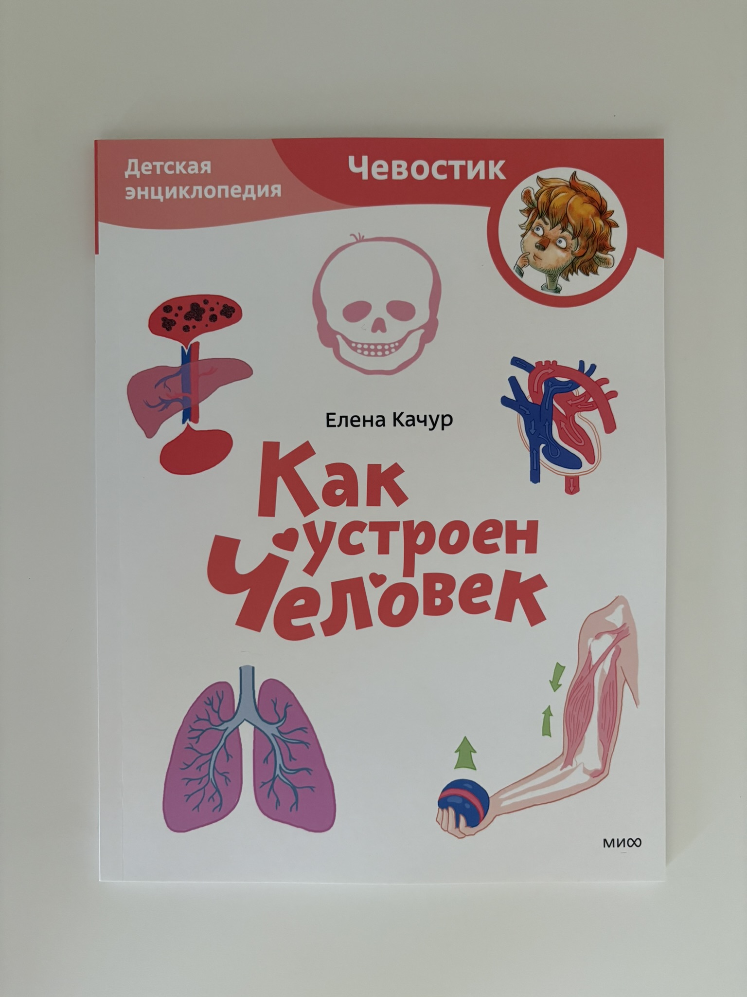 Как устроен человек. Детская энциклопедия (Чевостик)