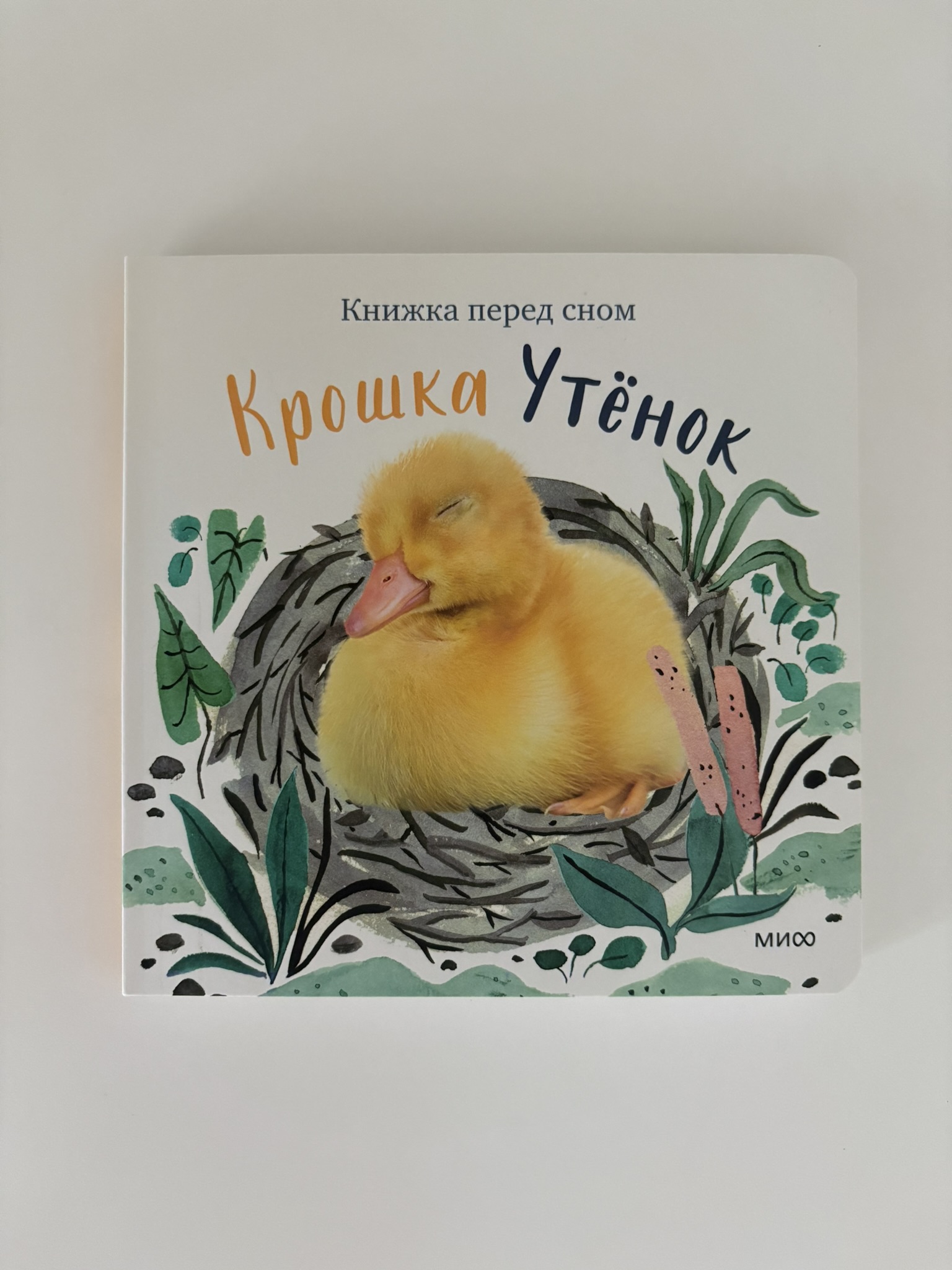 Крошка Утёнок