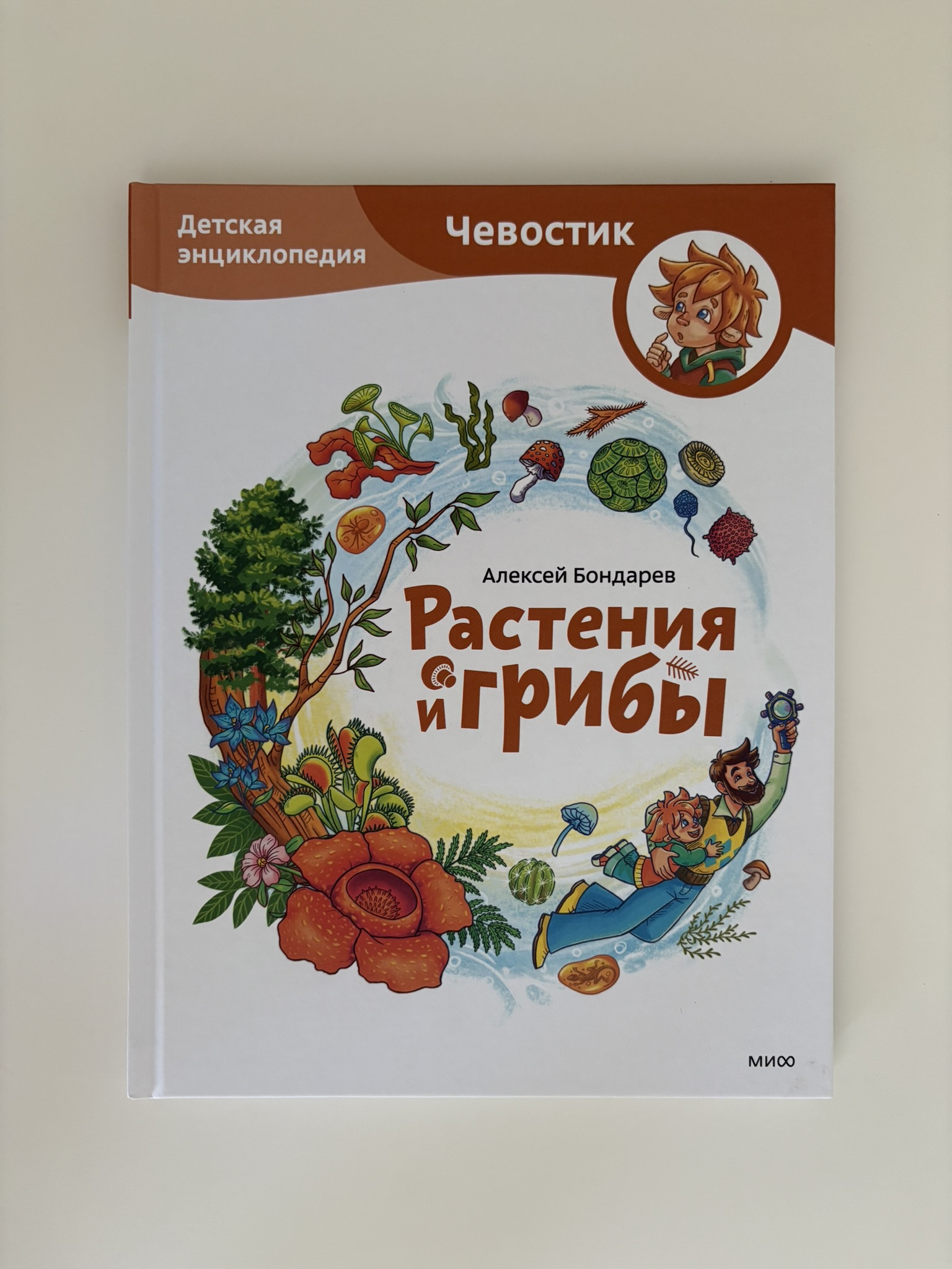 Растения и грибы. Детская энциклопедия (Чевостик)