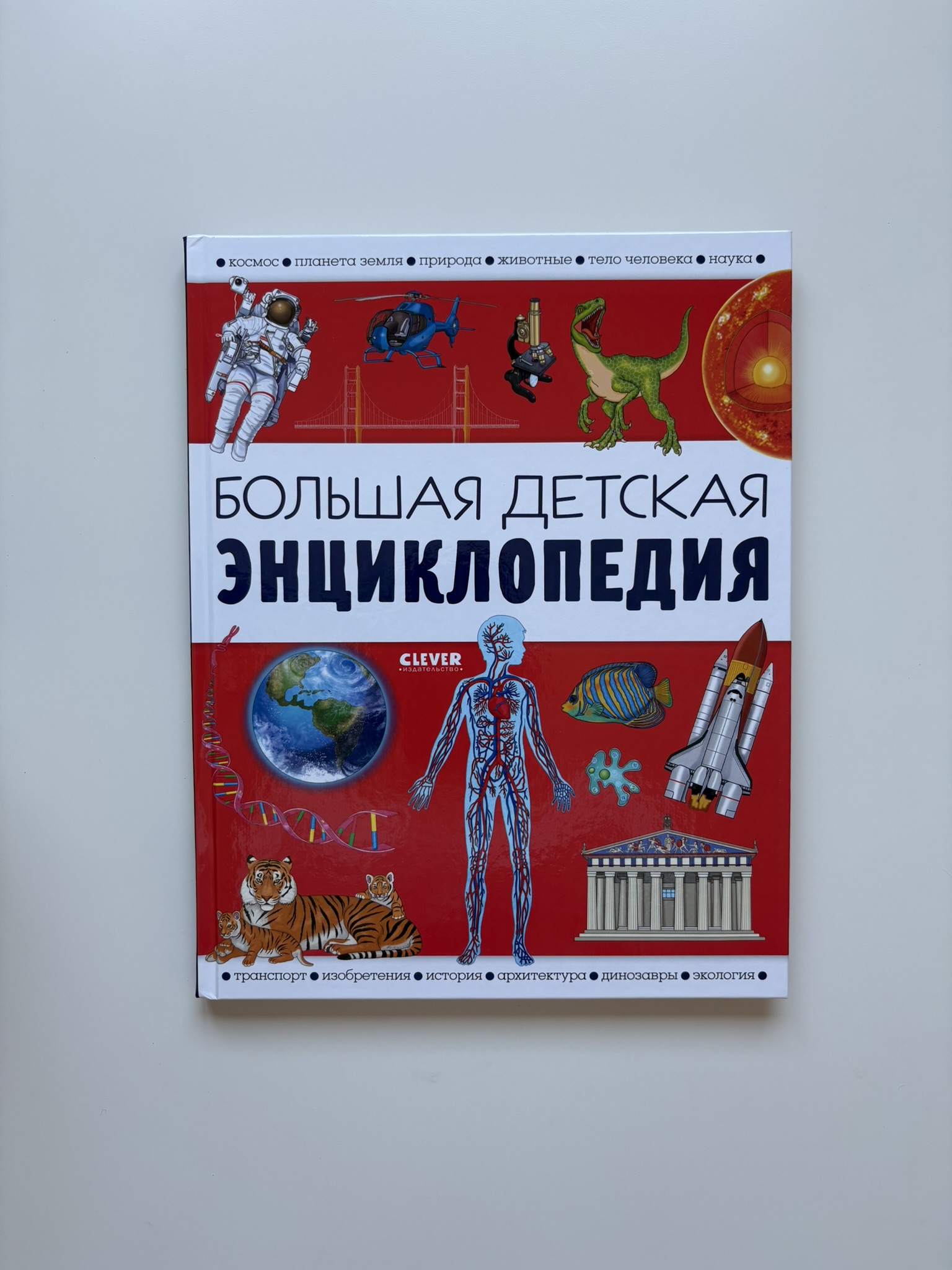 Большая детская энциклопедия