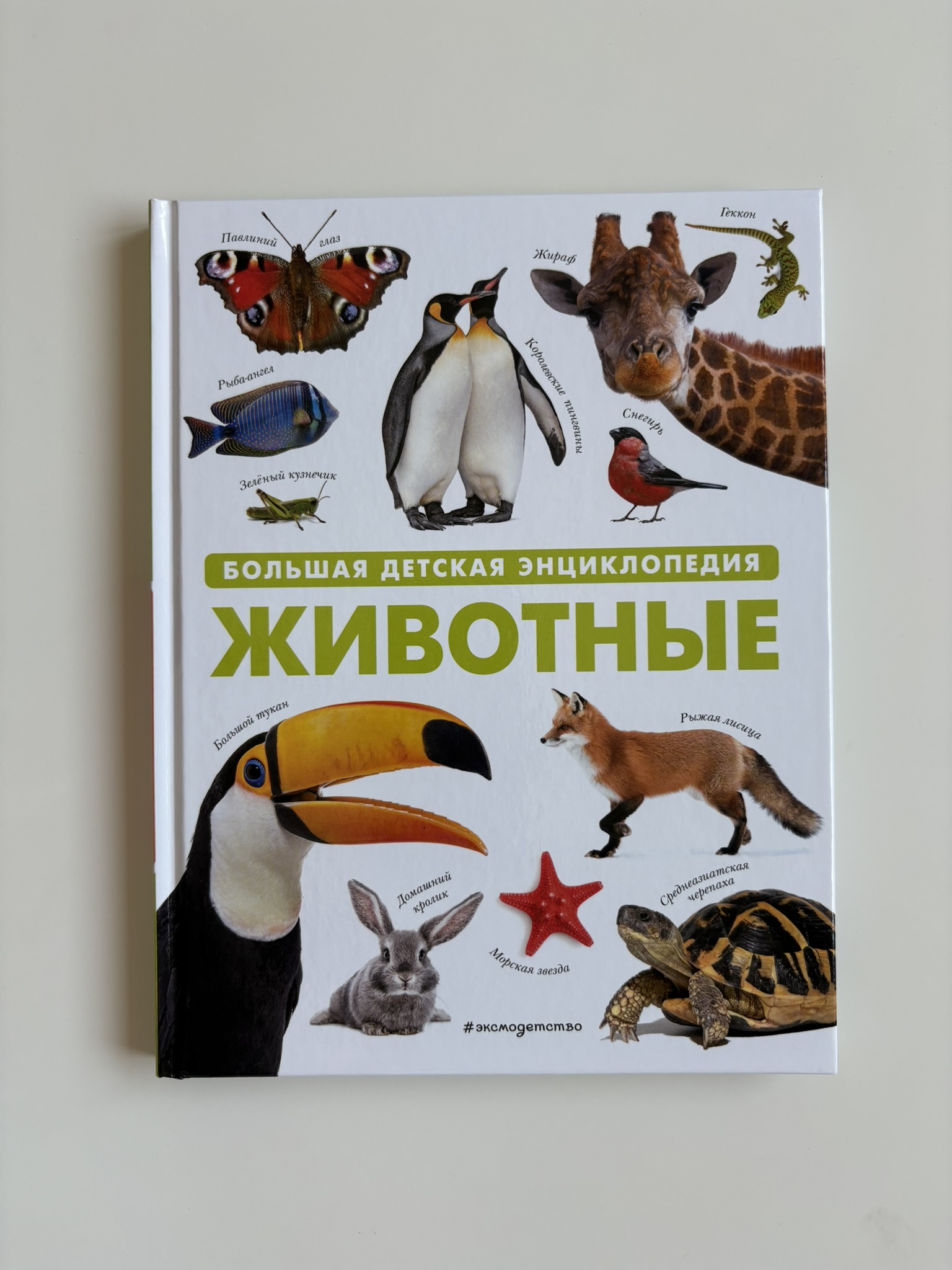 Животные. Большая детская энциклопедия