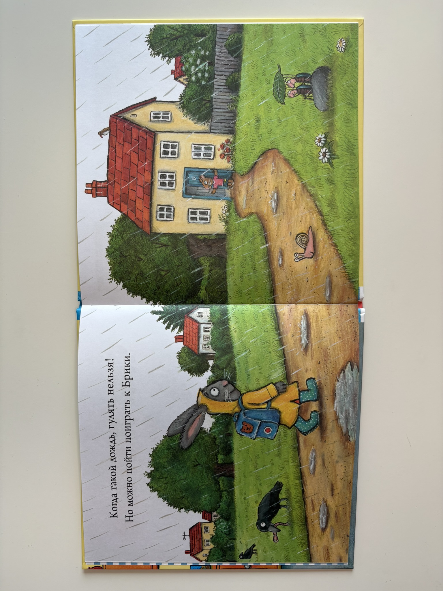 Чик и Брики. Лужица