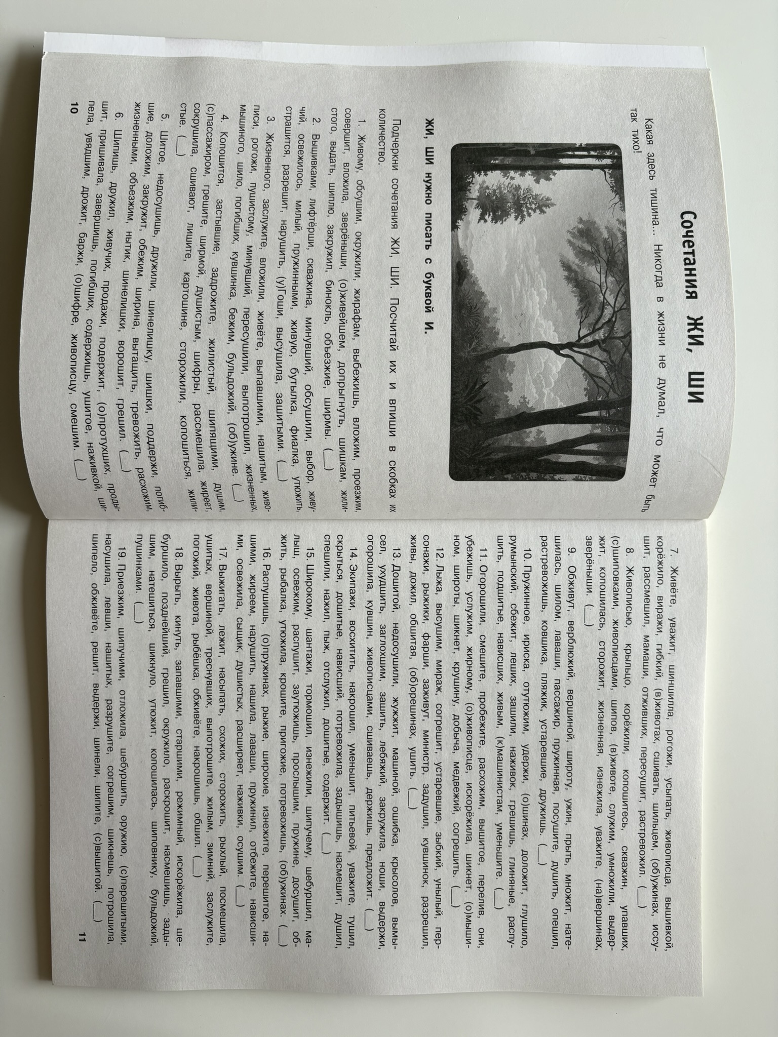 Русский язык. Тренировочные задания. 2 класс