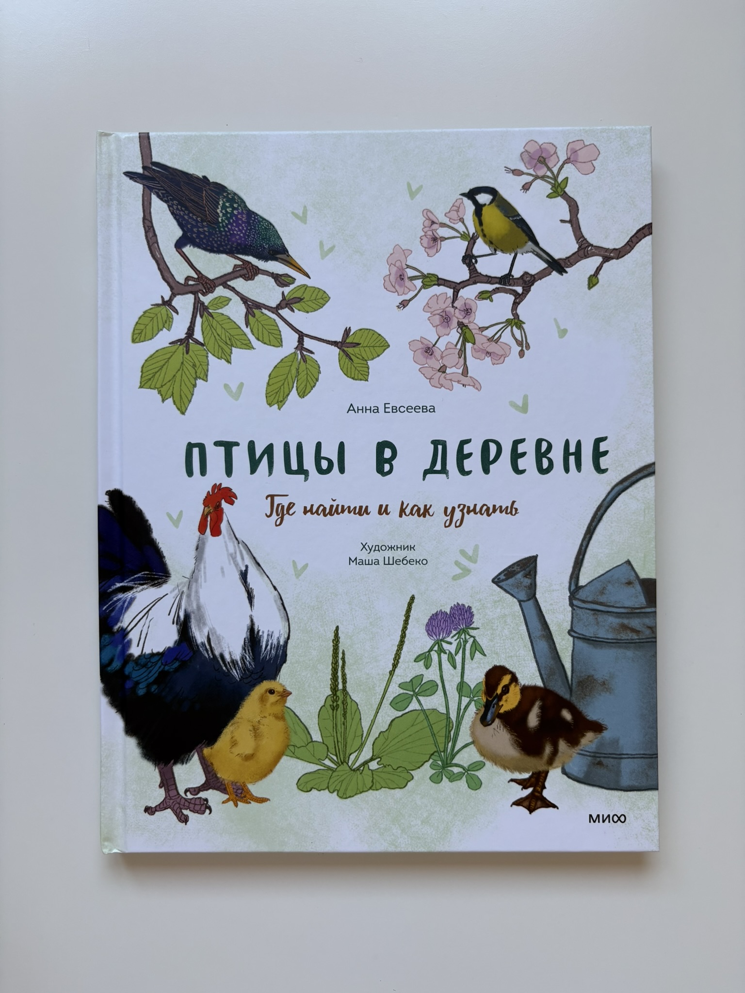 Птицы в деревне. Где найти и как узнать