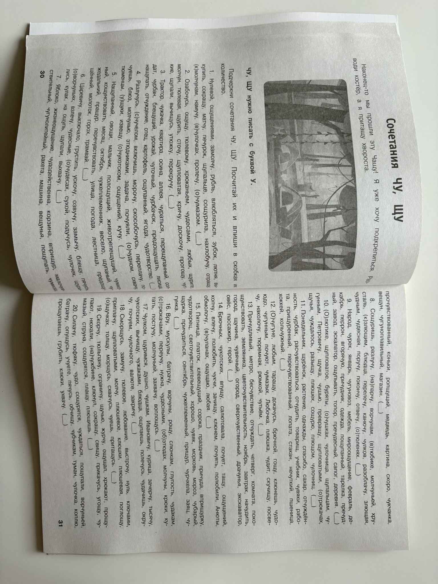 Русский язык. Тренировочные задания. 2 класс