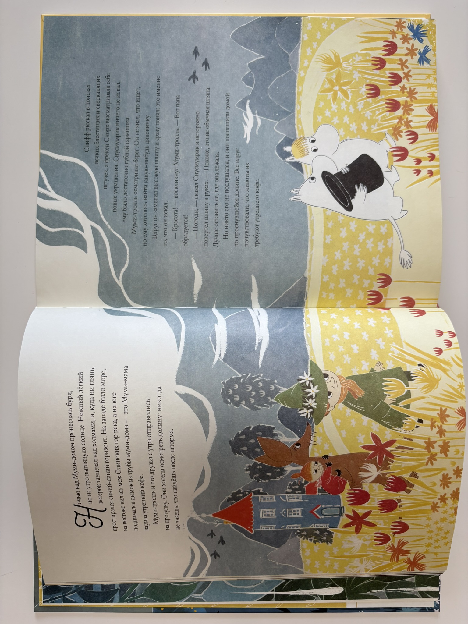 Муми-тролли и Большая книга Муми-дола