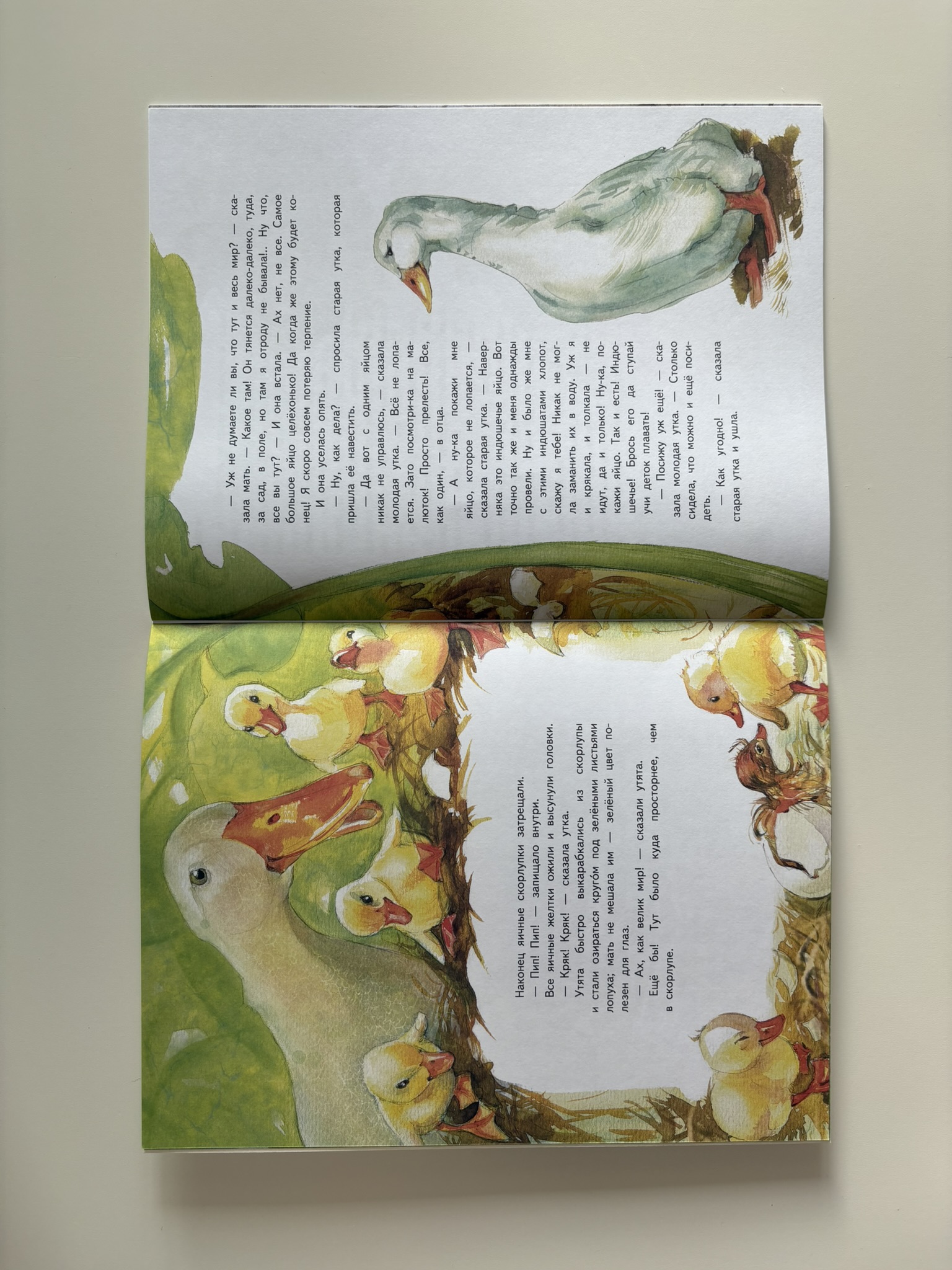 Гадкий утенок