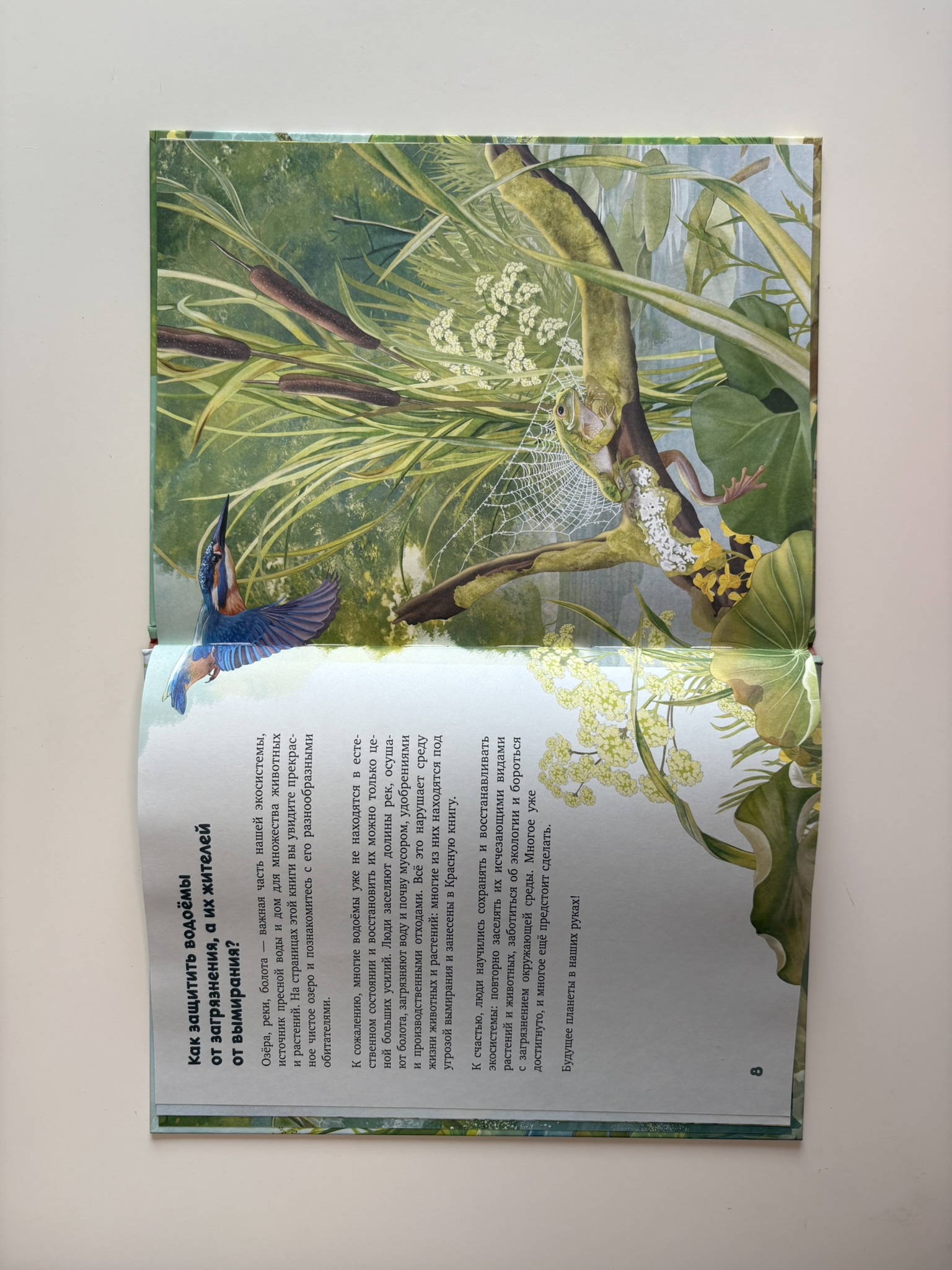 Секреты животных озера