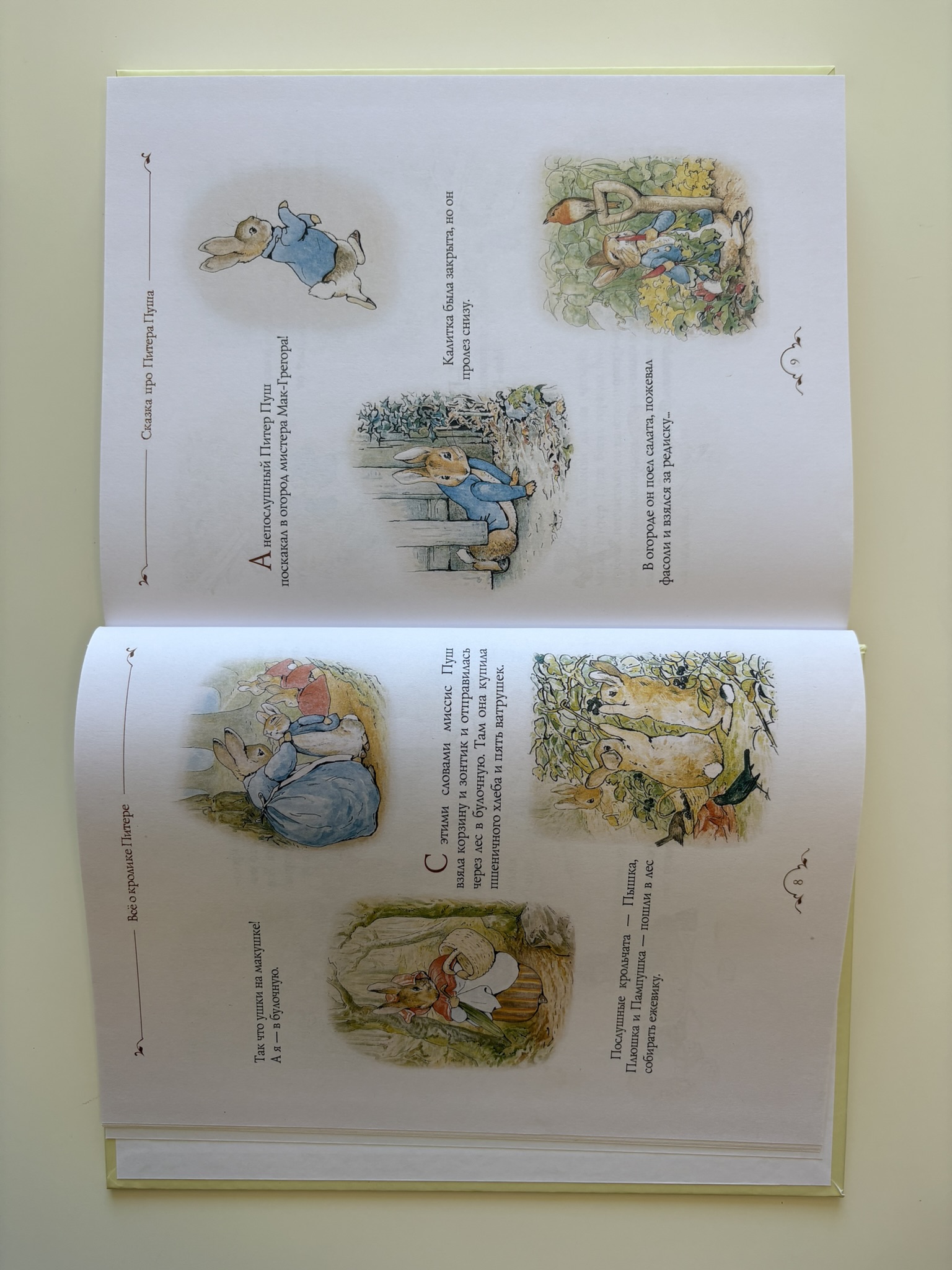 Все о кролике Питере