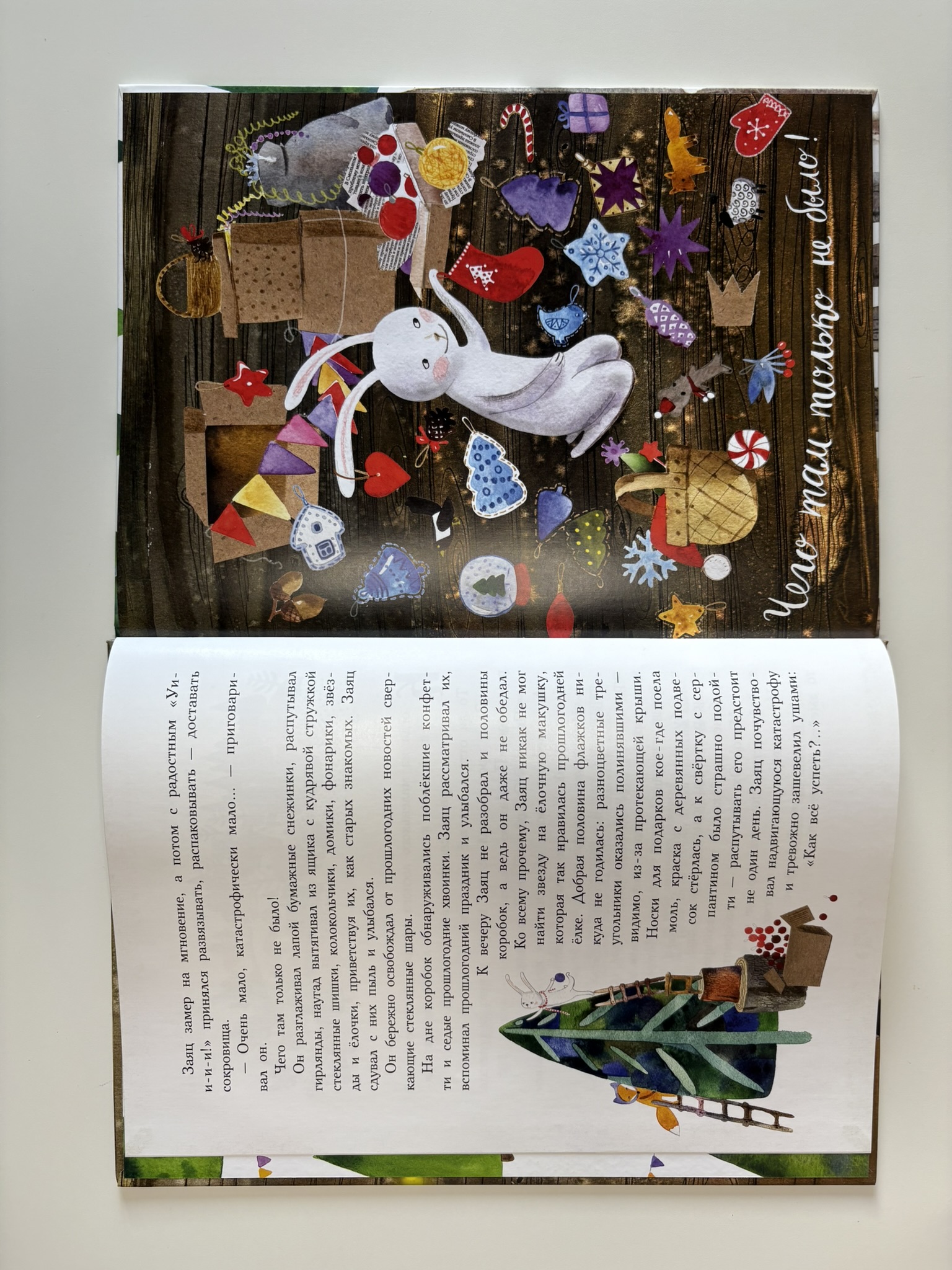 Фрося - ель обыкновенная