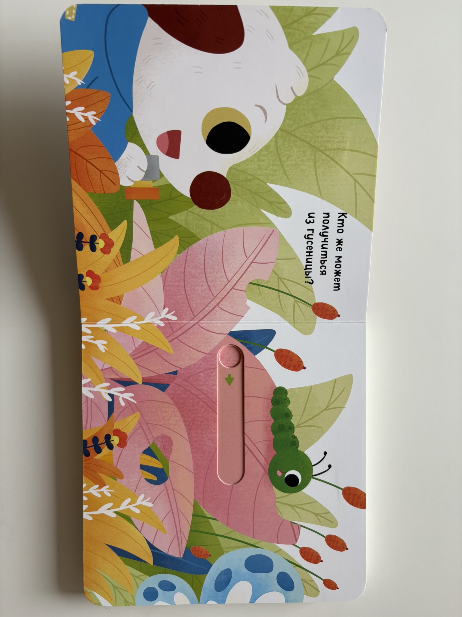 Угадай, чей малыш