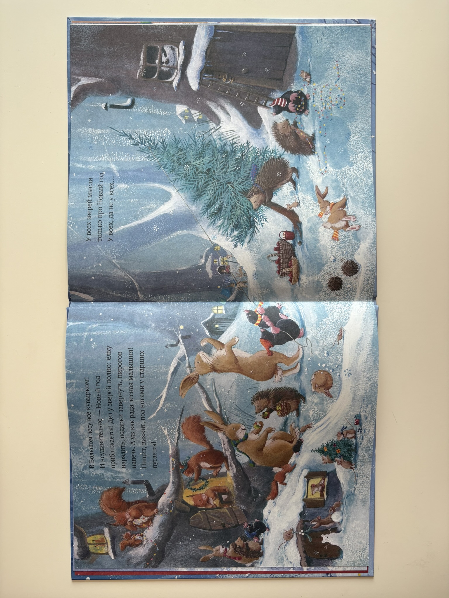 Как ворчливый барсук полюбил Новый год