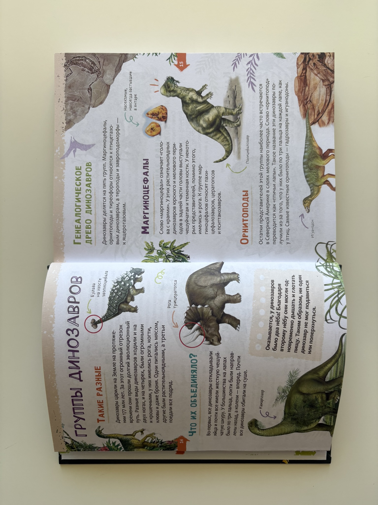 Животные. Новая детская энциклопедия