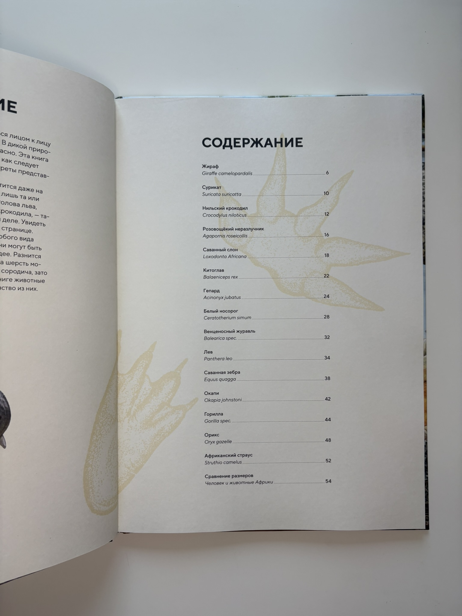 Животные Африки в натуральную величину