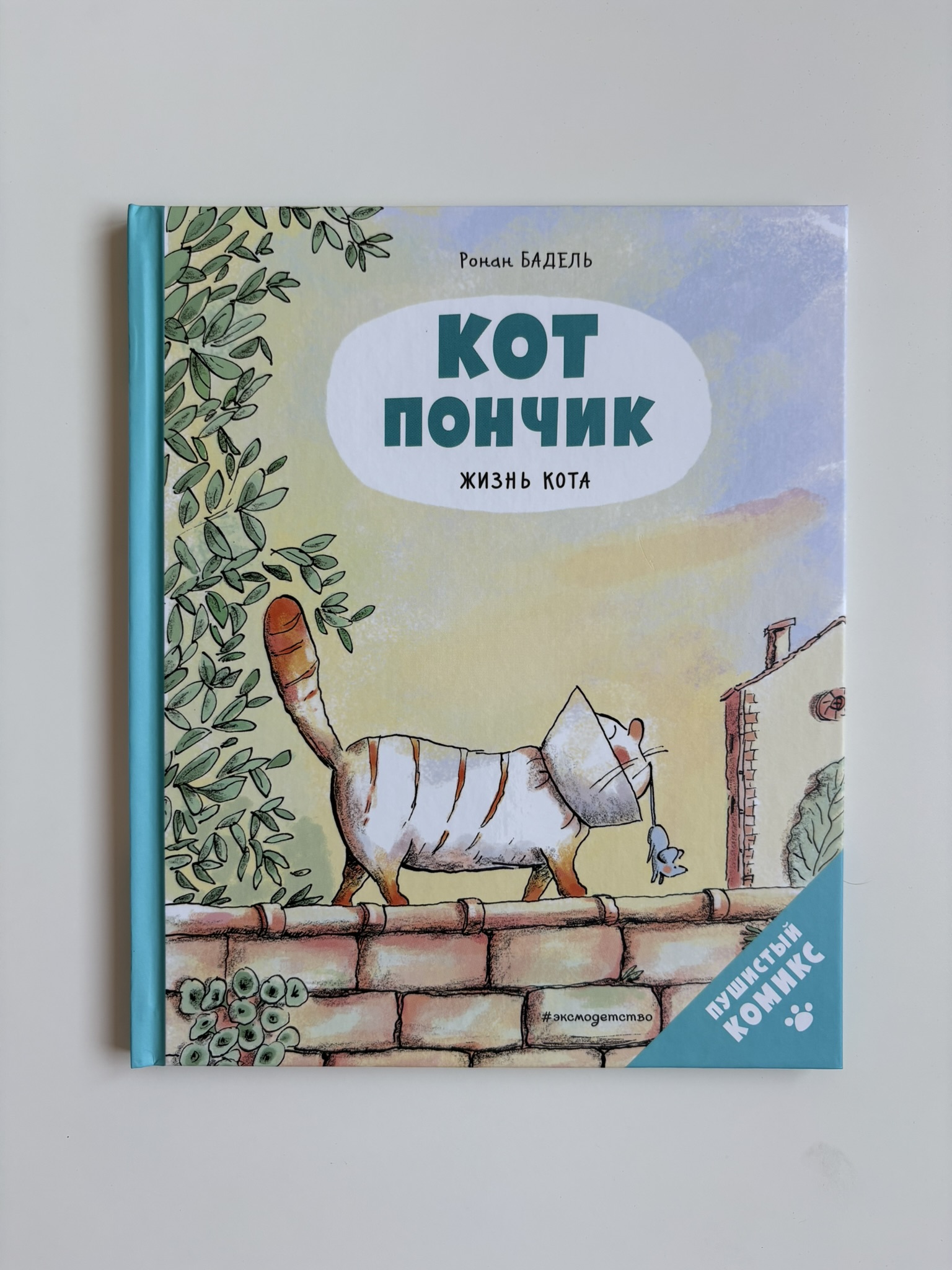 Кот Пончик. Жизнь кота