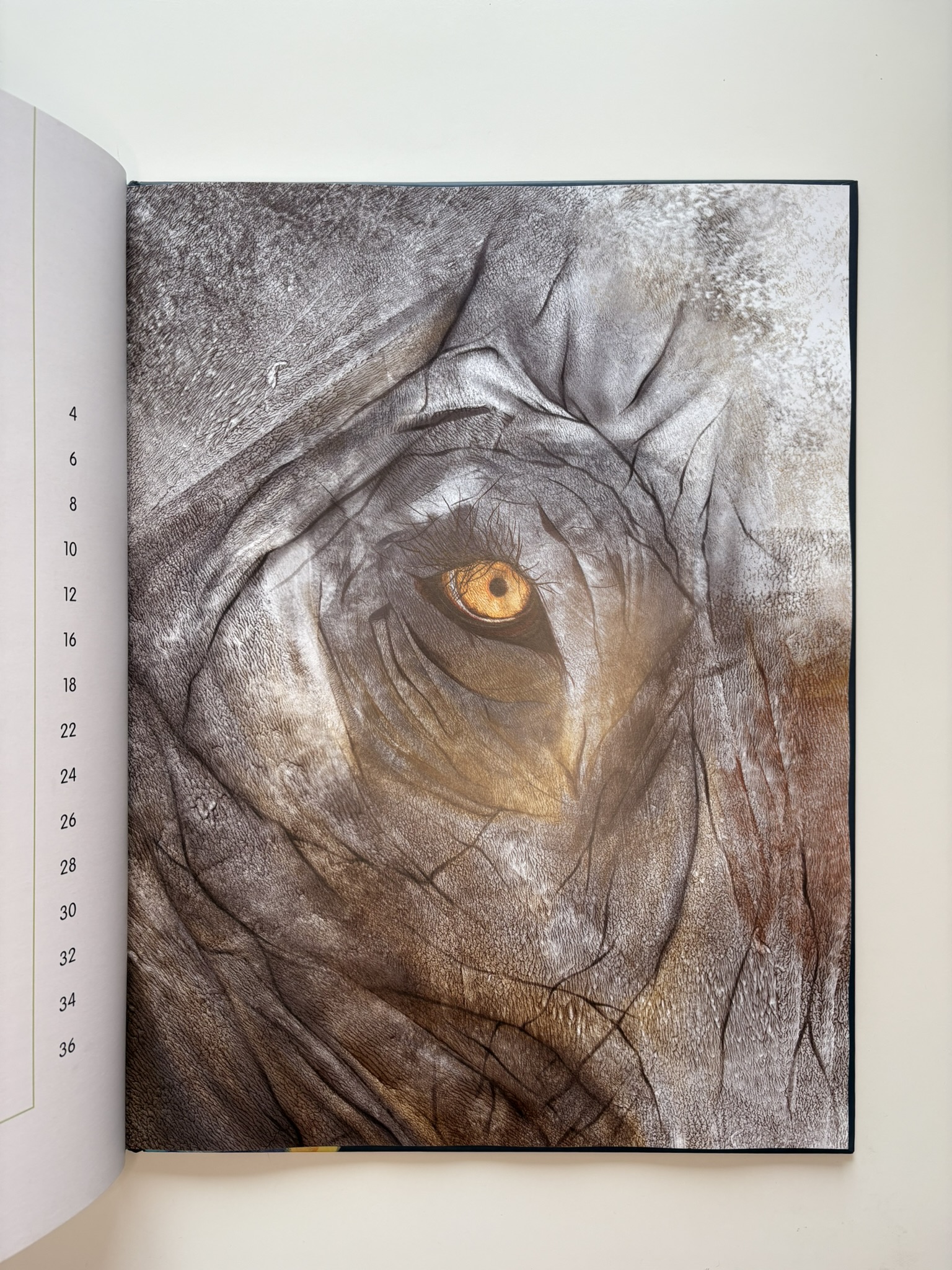 Самые удивительные животные в натуральную величину