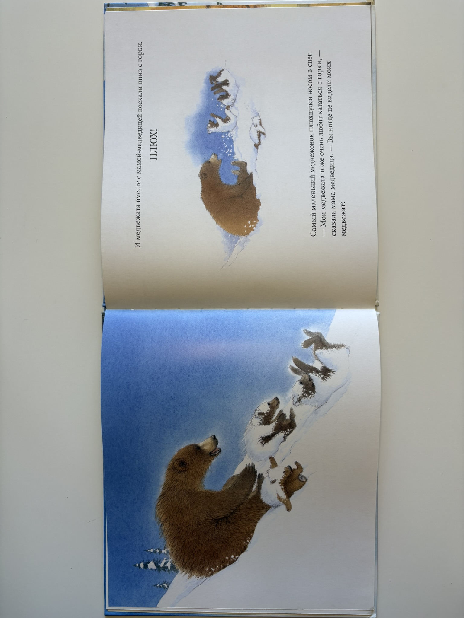 Снежные медведи