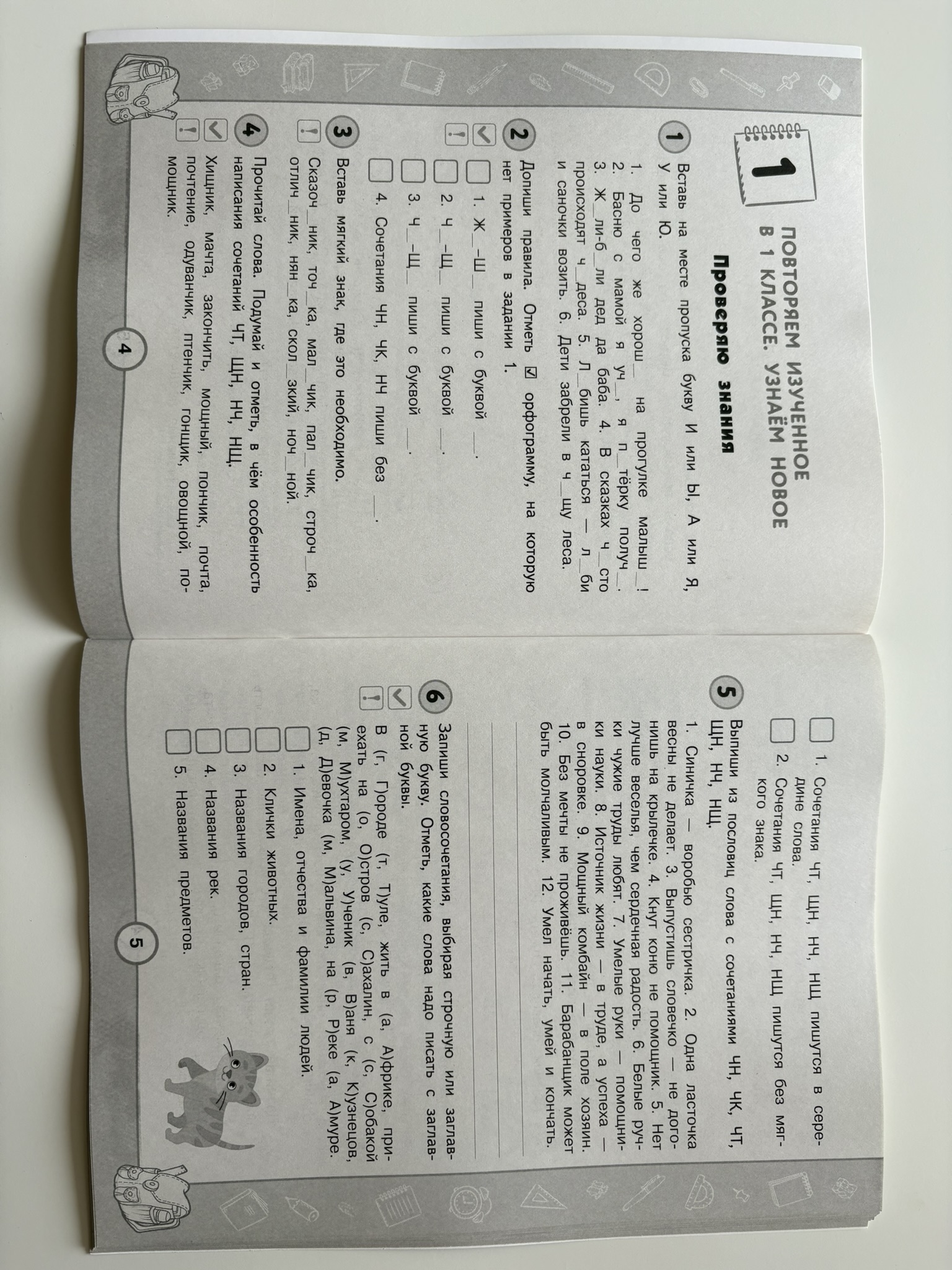 Русский язык. Функциональная грамотность. 2 класс