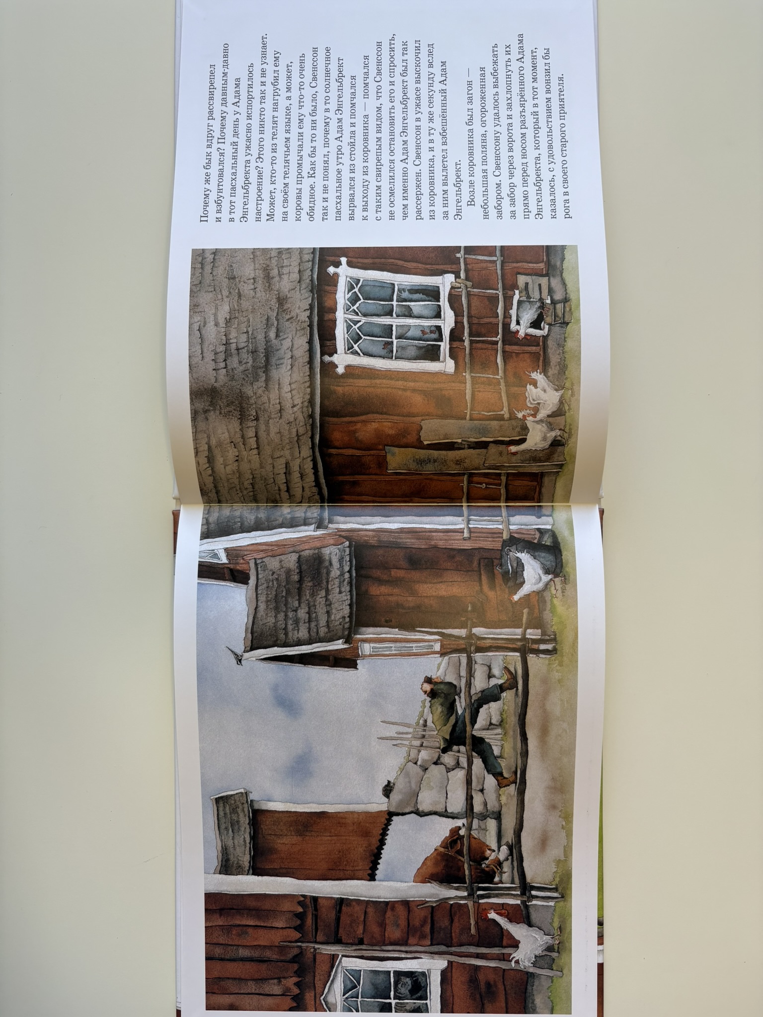 Как Адам Энгельбрект разбушевался