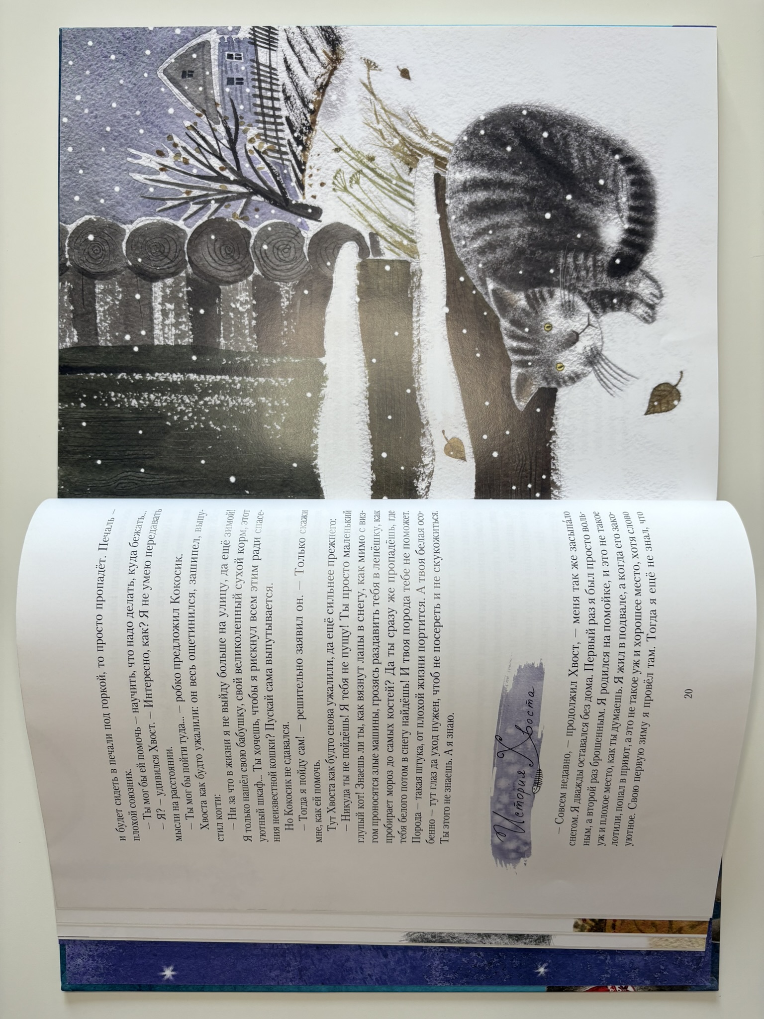 Котофеи. Все новогодние истории