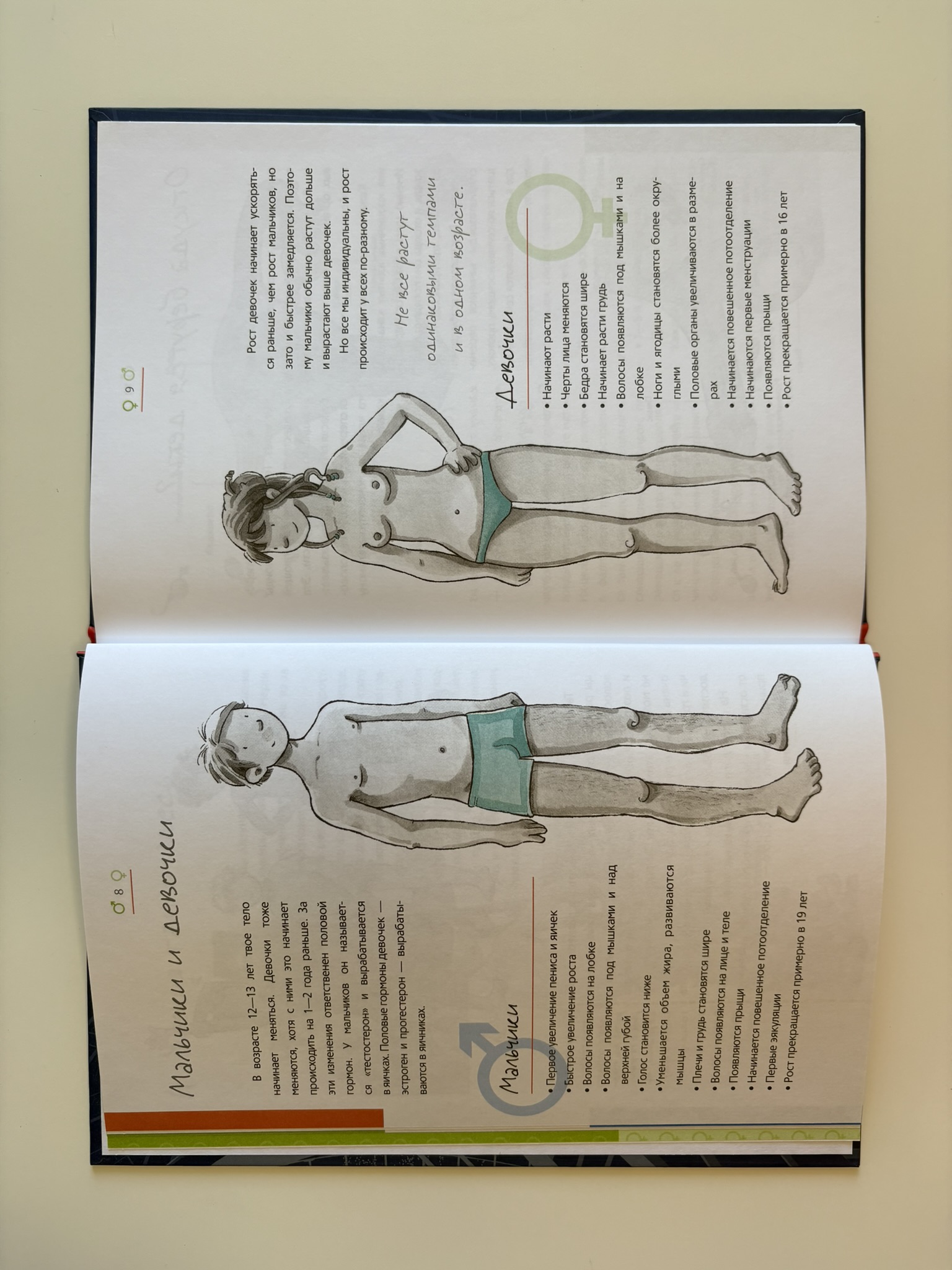 Как меняется мое тело. Все, что нужно знать мальчикам о переходном возрасте