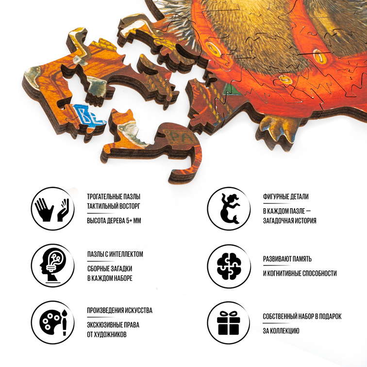 Ежик-путешественник