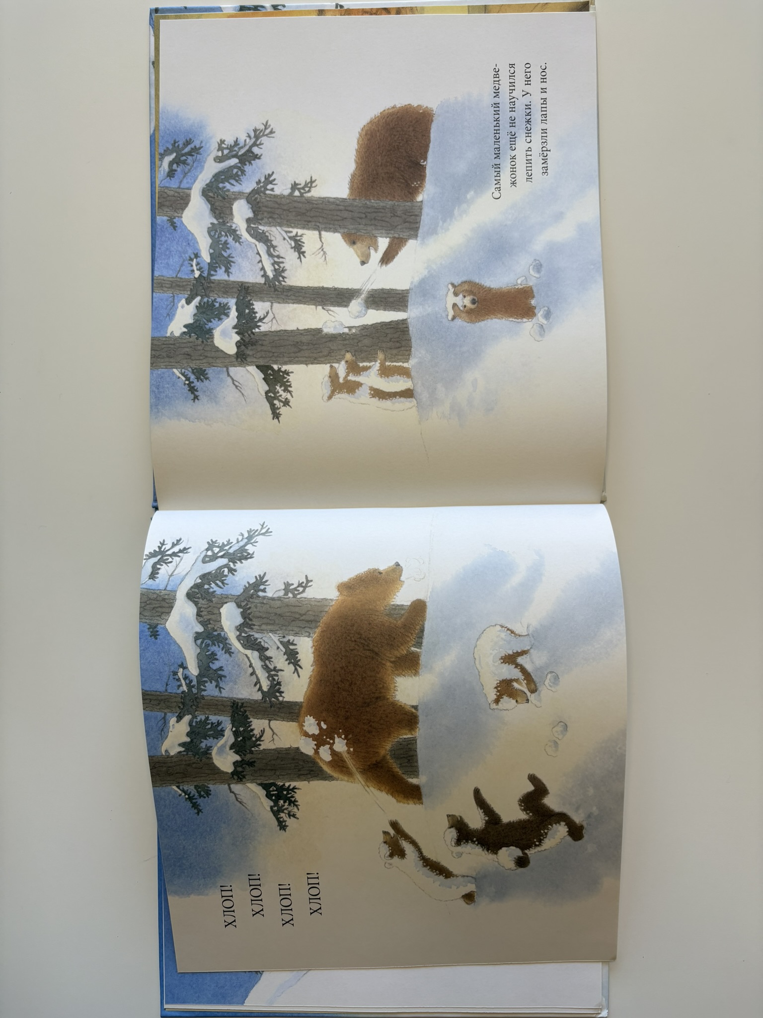 Снежные медведи