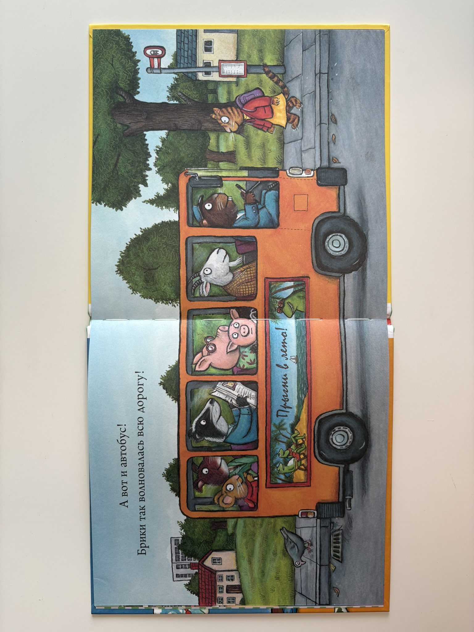 Чик и Брики. Любимый лягушастик