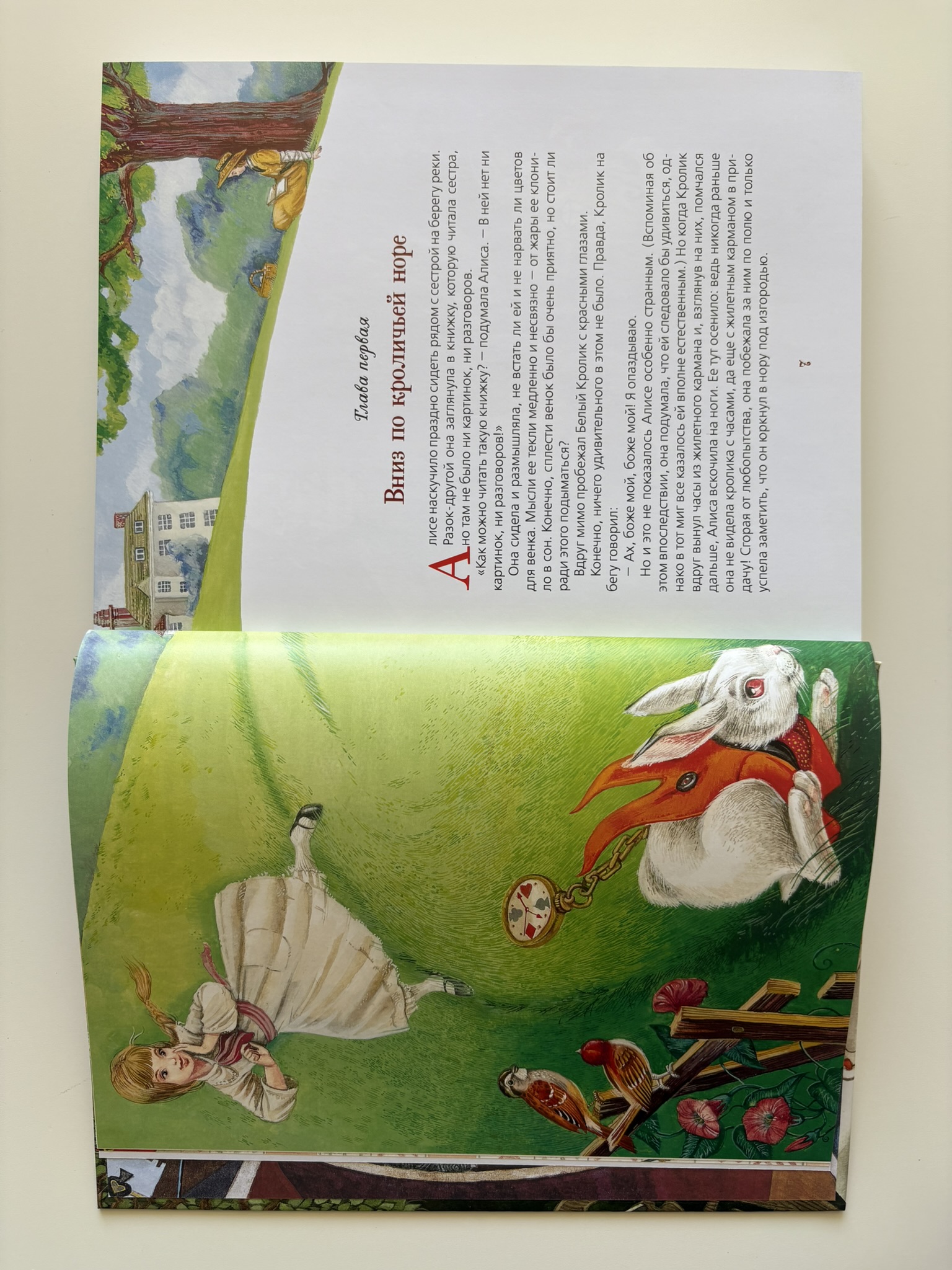 Алиса в Стране Чудес и в Зазеркалье