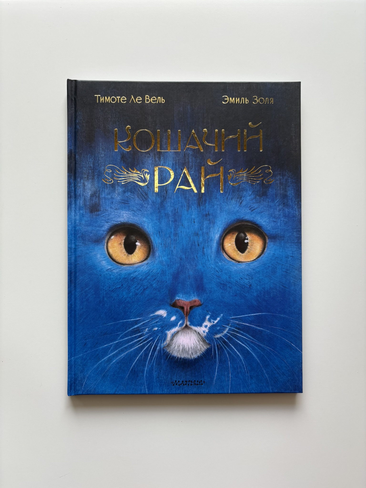 Кошачий рай