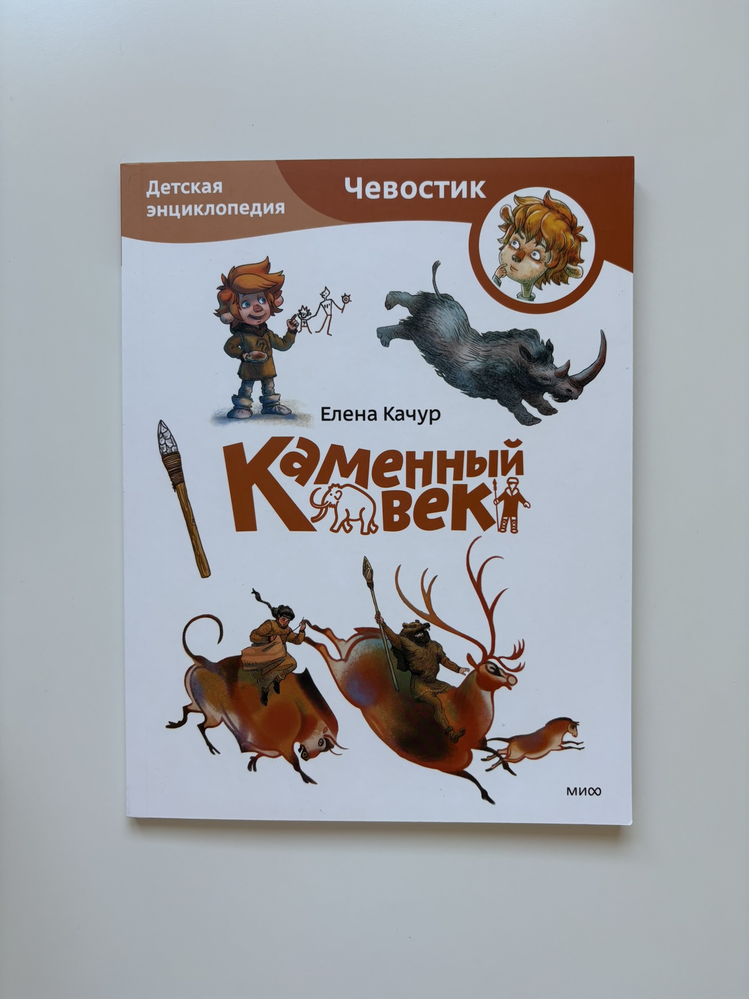 Каменный век. Детская энциклопедия (Чевостик) (Paperback)