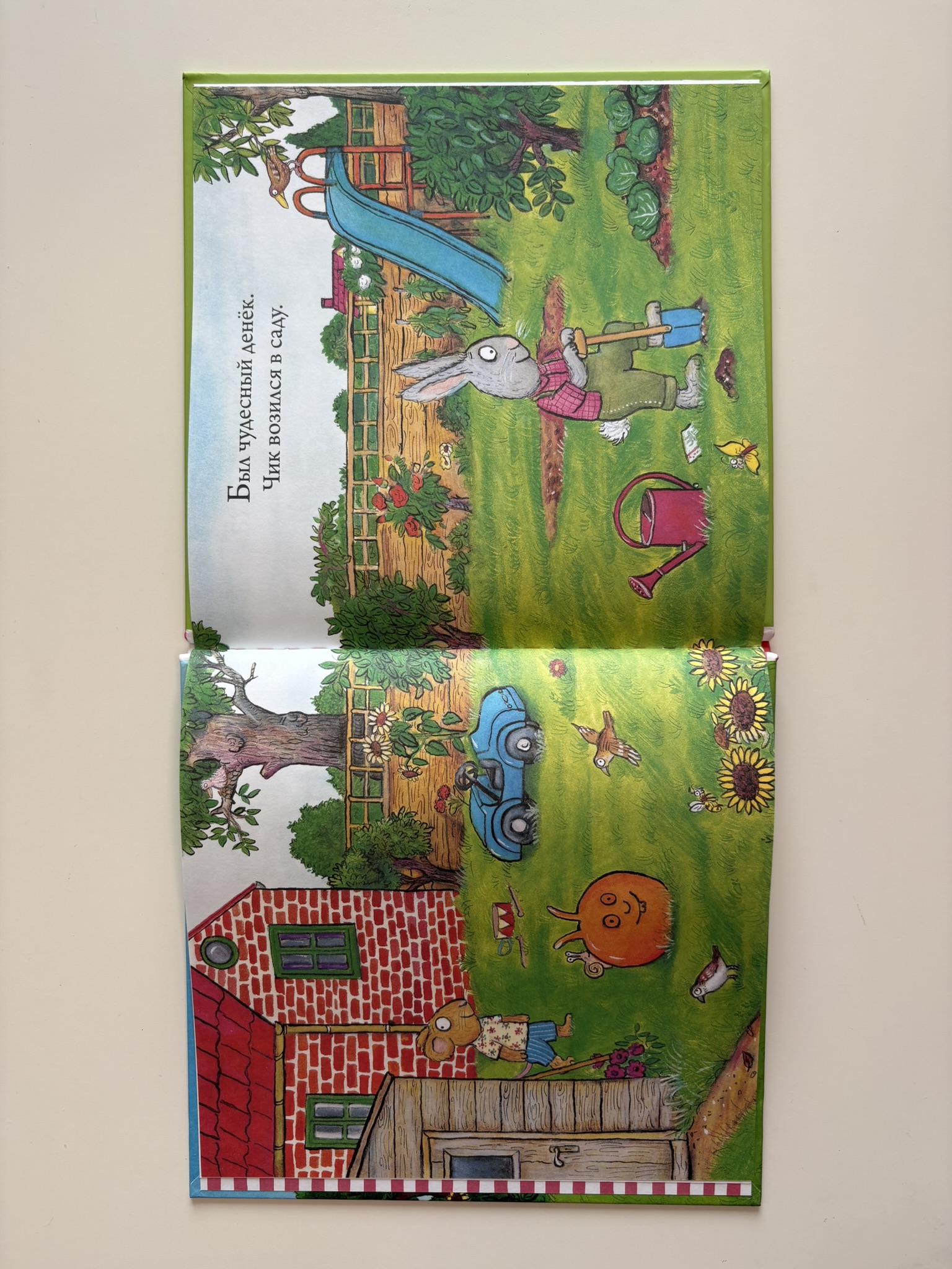 Чик и Брики. Пугливая улитка