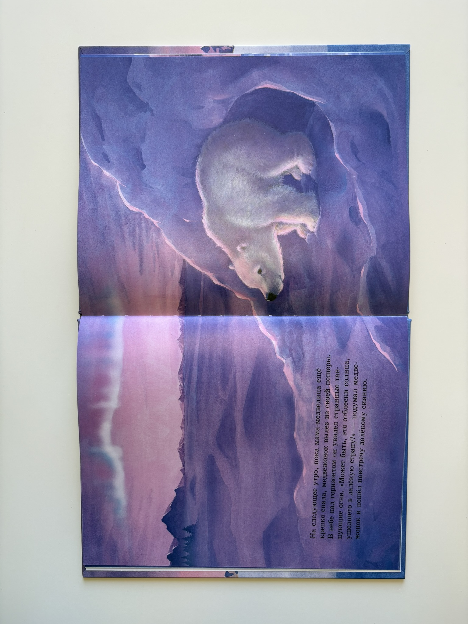 Как медвежонок солнце искал