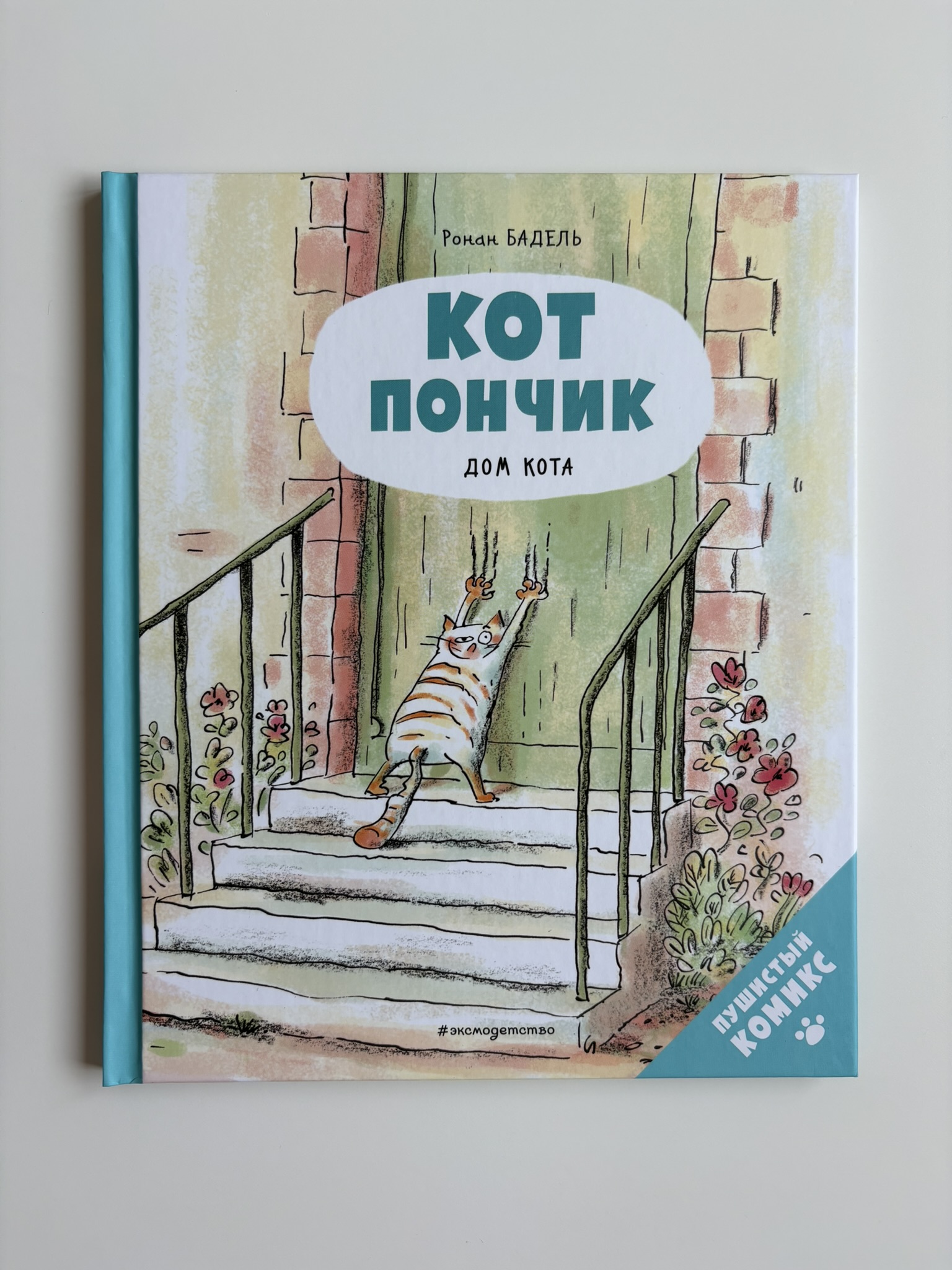 Кот Пончик. Дом кота