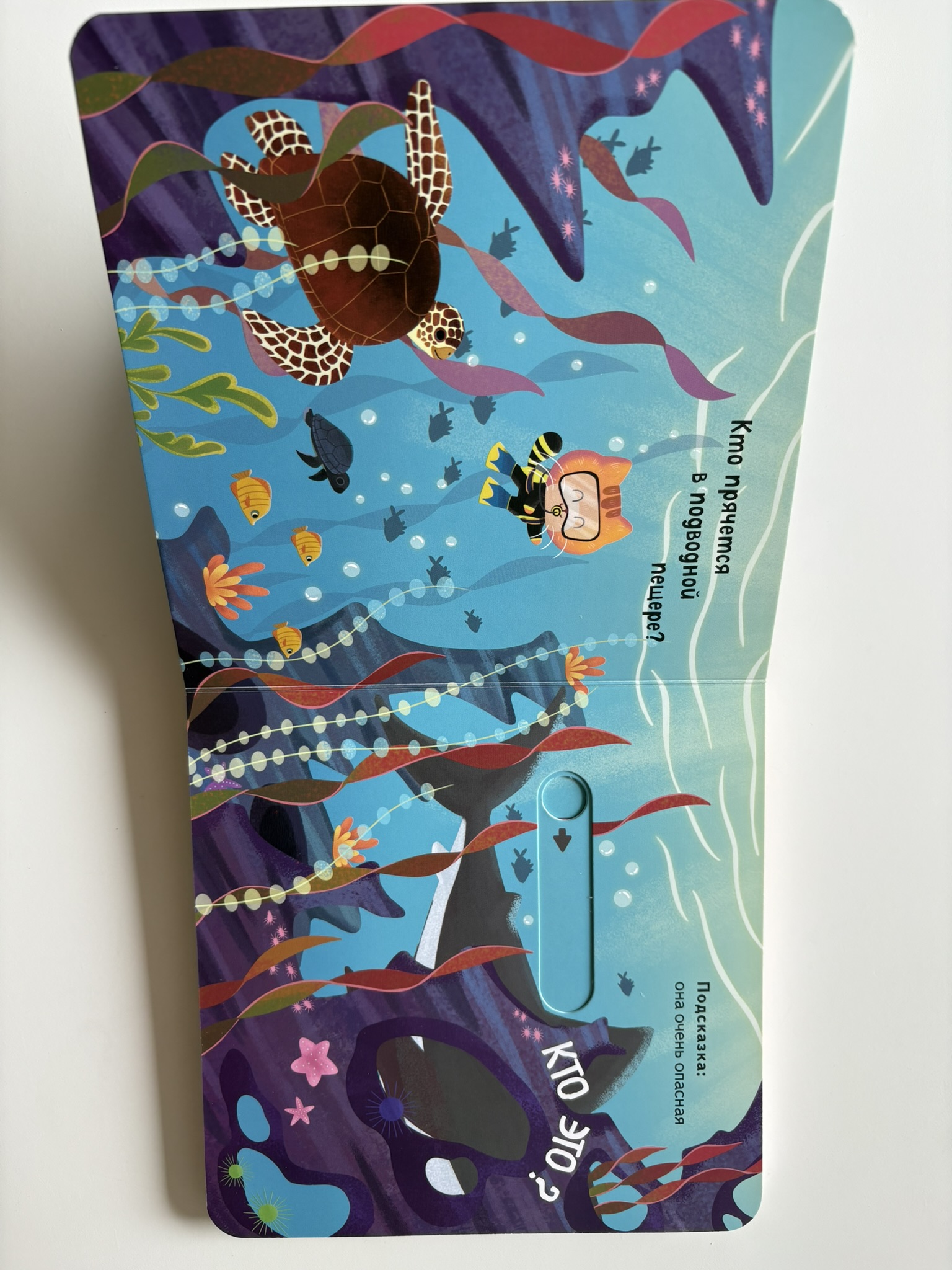 Угадай, кто спрятался