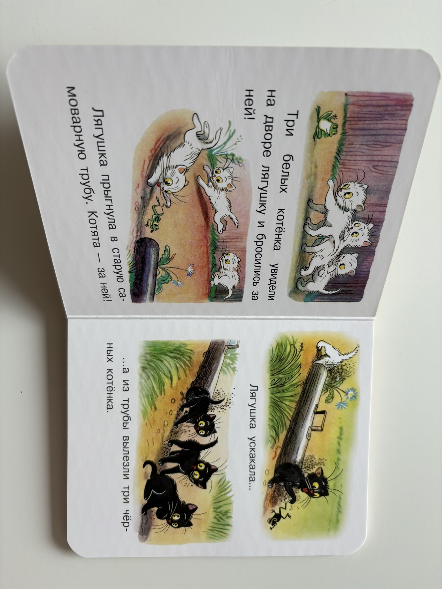 Три котенка