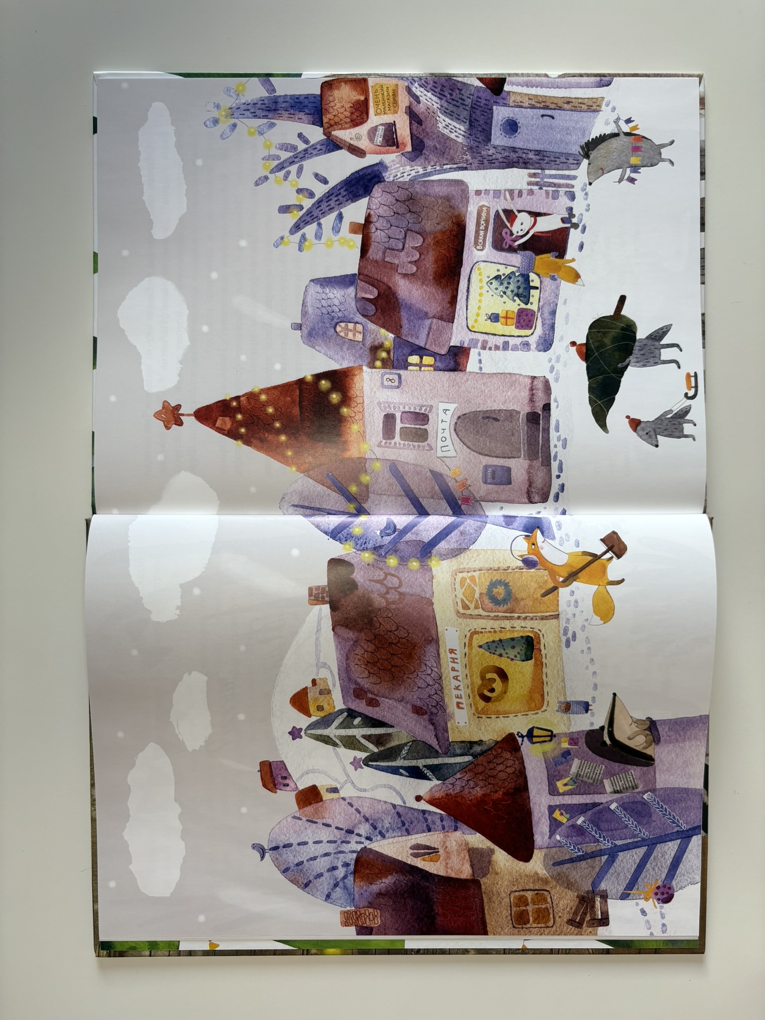 Фрося - ель обыкновенная