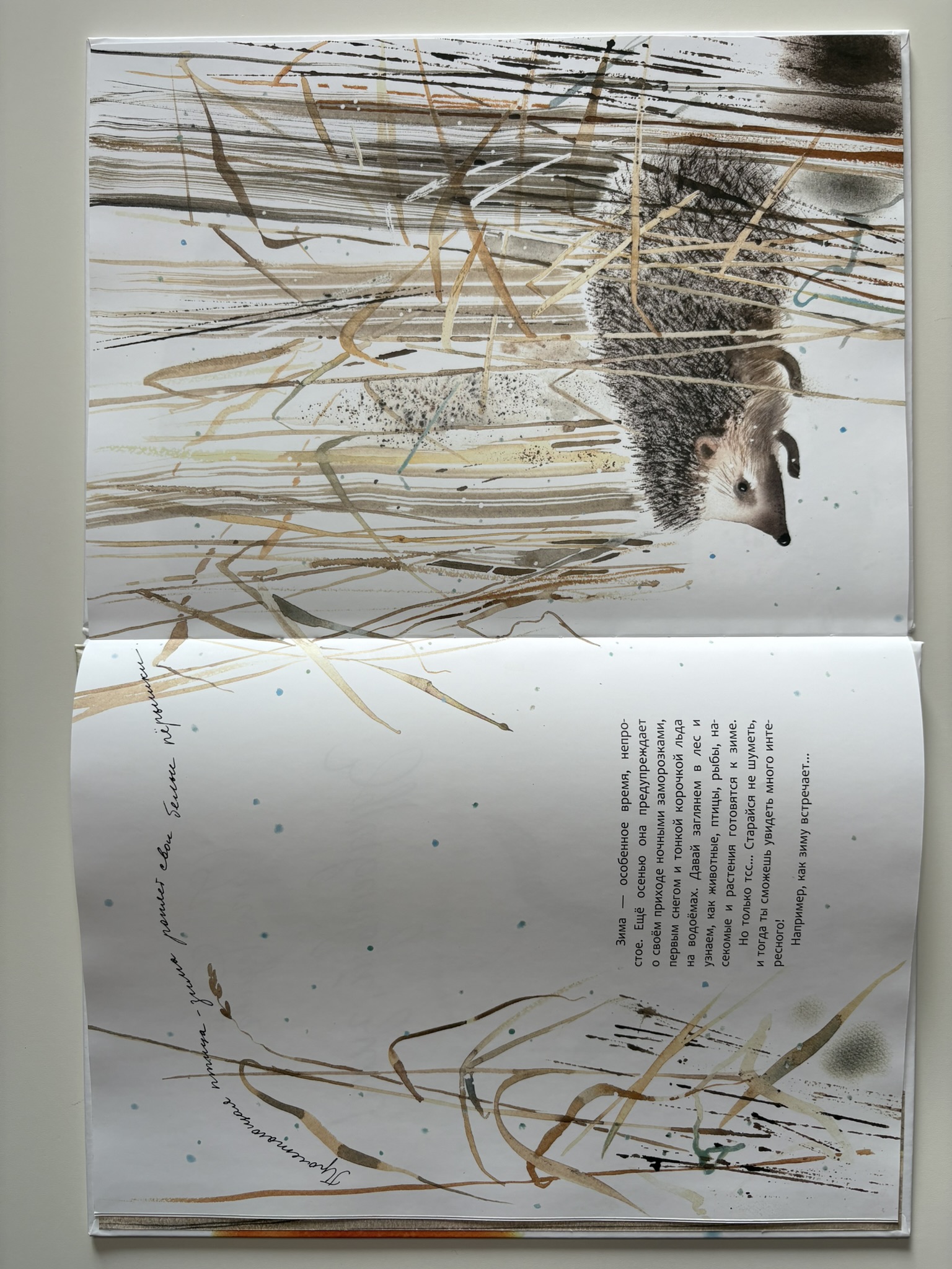 Здравствуй, зима!