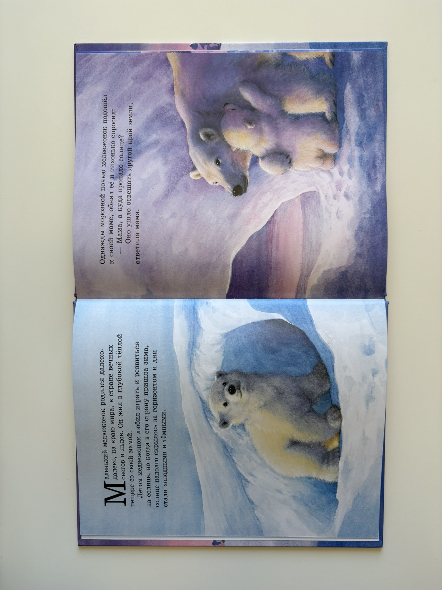 Как медвежонок солнце искал