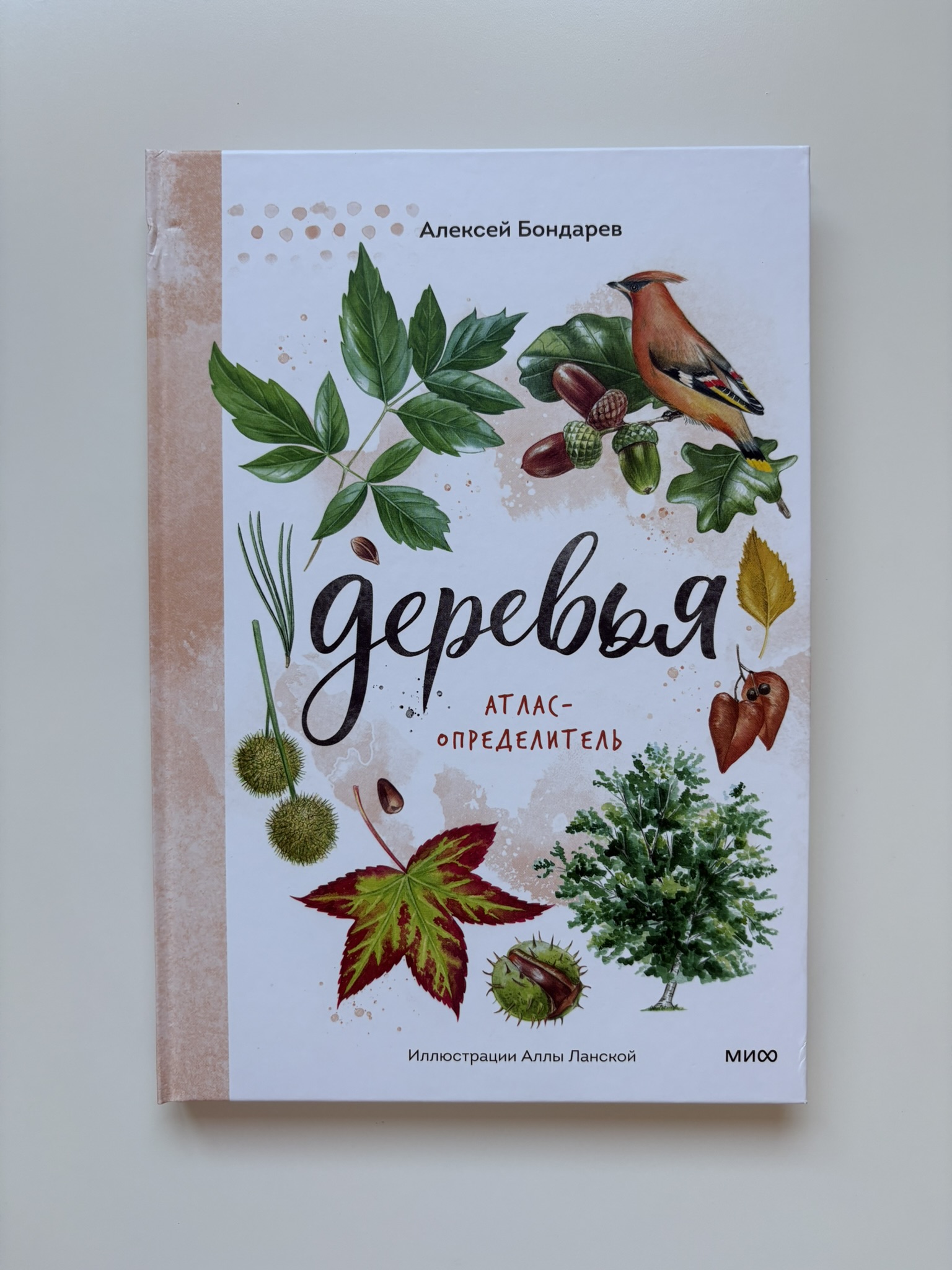 Деревья. Атлас-определитель