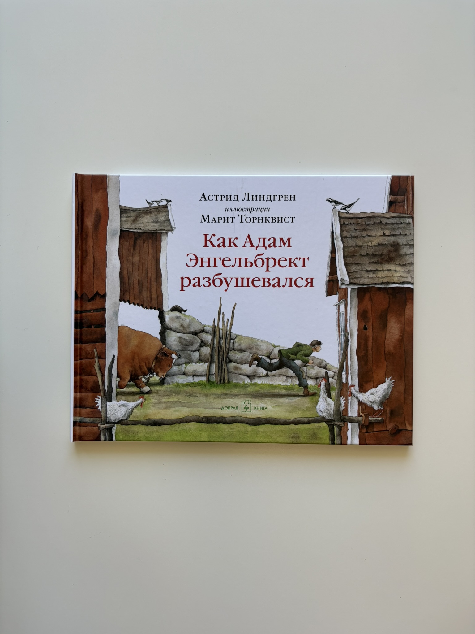 Как Адам Энгельбрект разбушевался